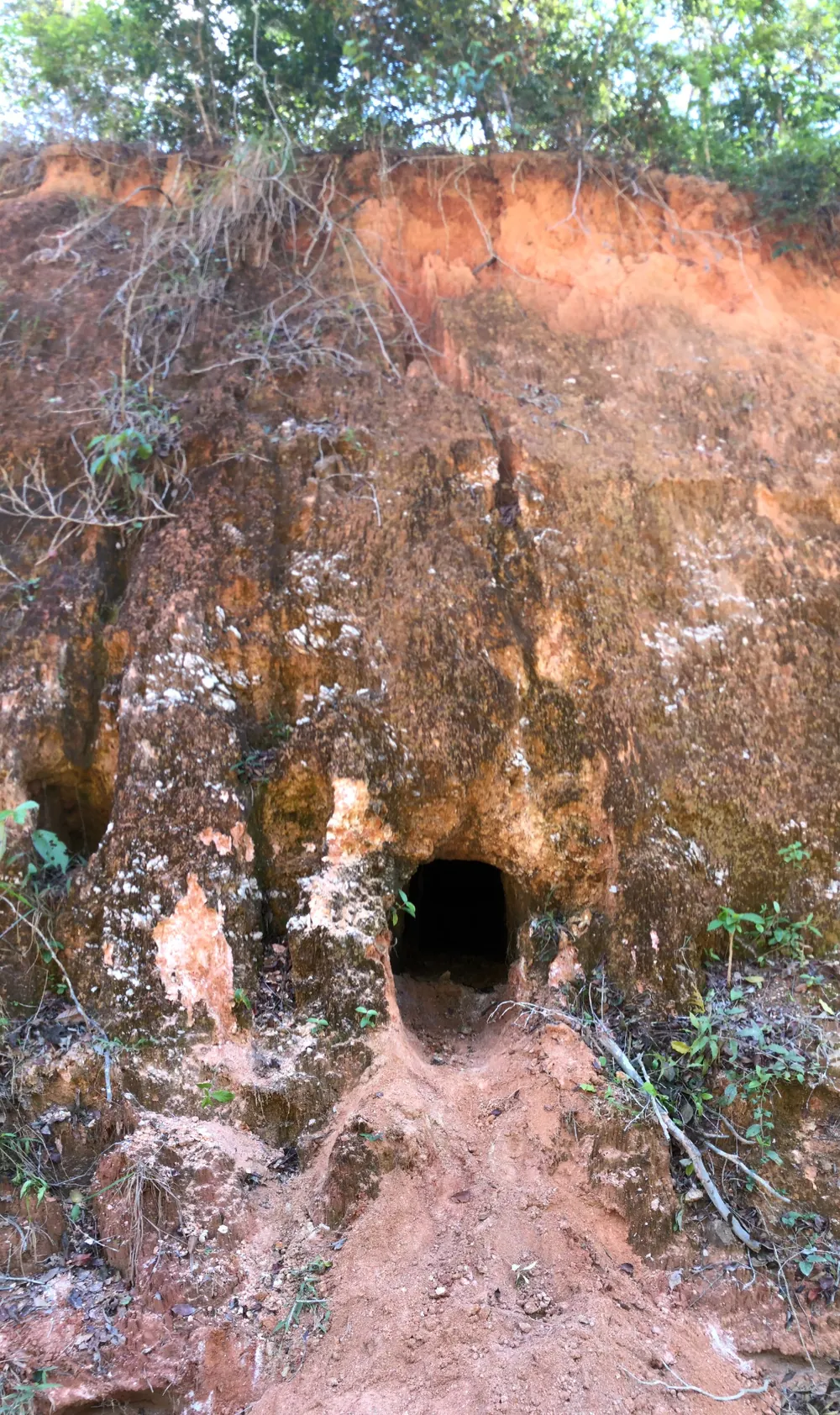 Shallow mine entrance with oxidized pegmatitic material