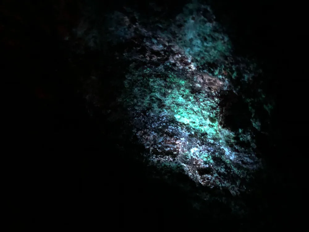 Blue fluorescence highlighting possible quartz-rich zones.