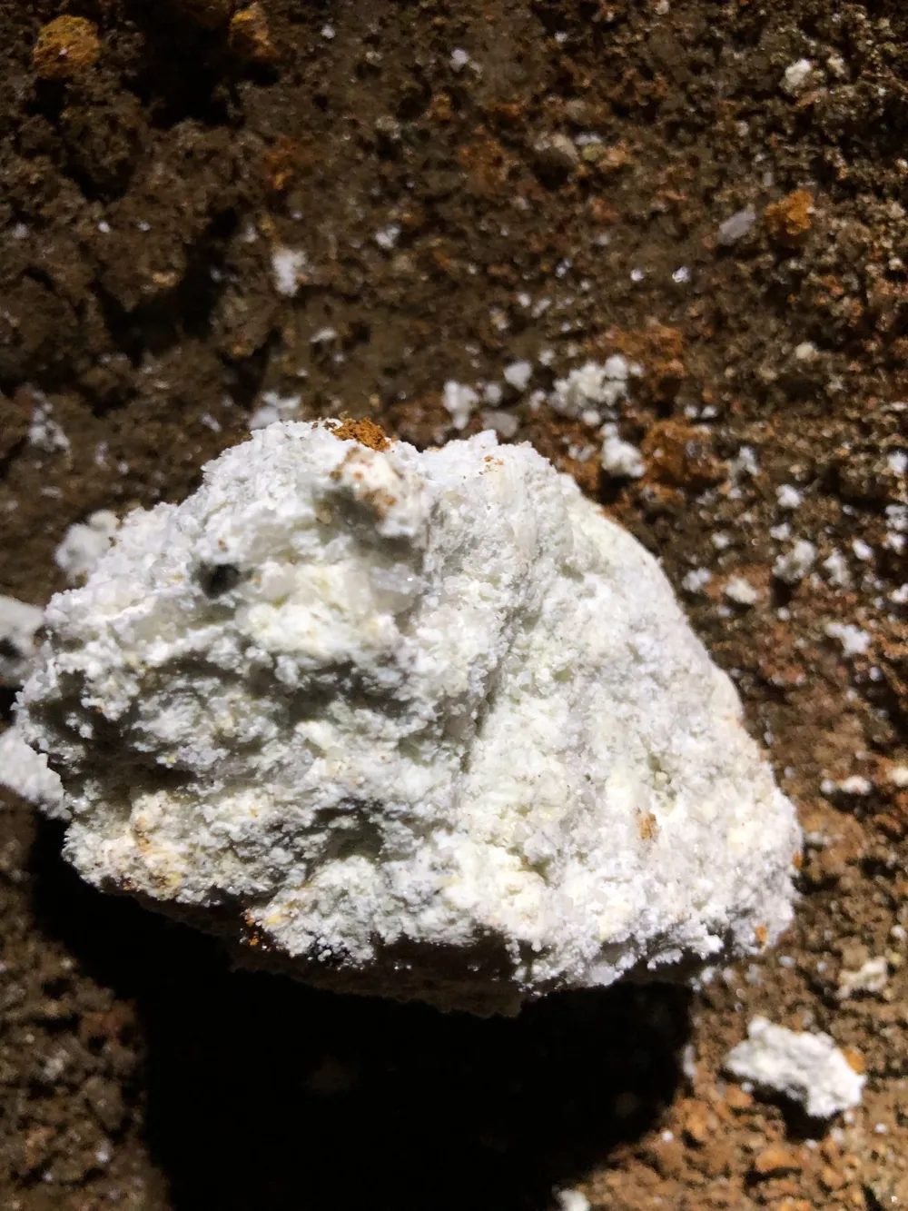 Hand sample from pegmatite vein in gallery