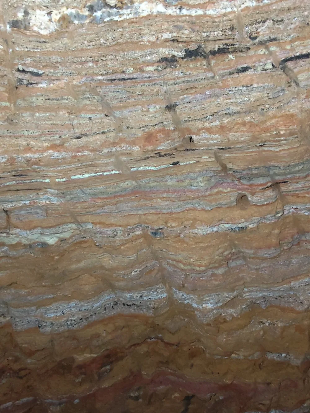 Fine pegmatite vein in foliation-parallel orientation
