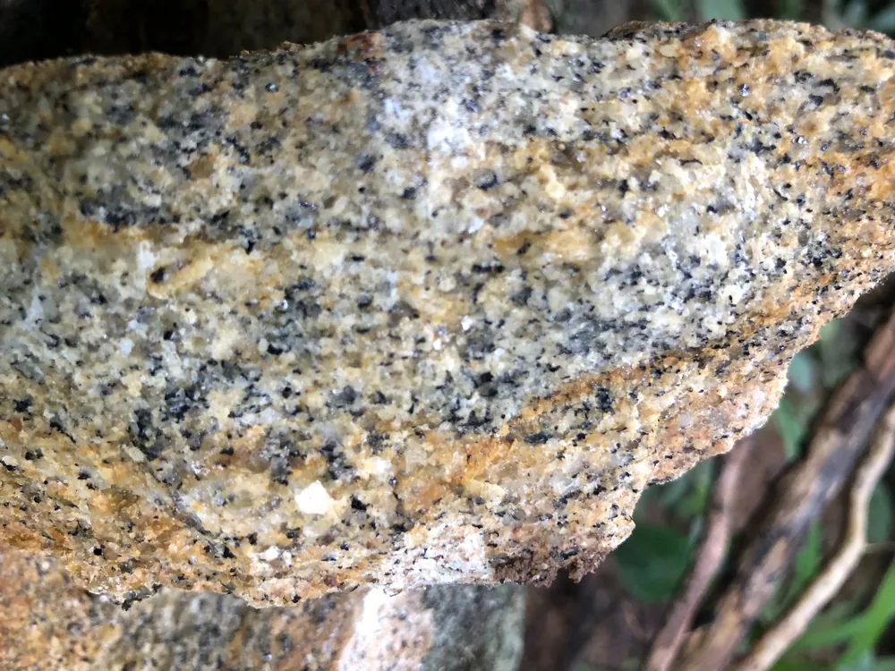 Coarse-grained granite with fine garnet grains