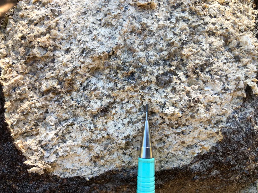 Coarse-grained granite with thin pegmatite veinlets