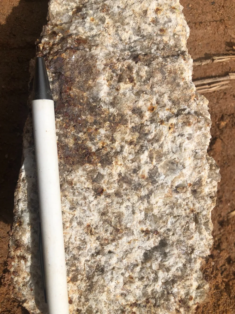 Pegmatoid vein with quartz, biotite, and tourmaline