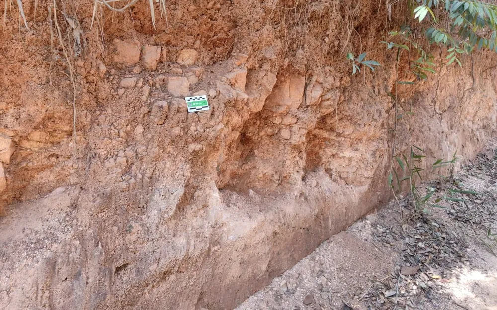 Quartz vein exposed in granitic soil