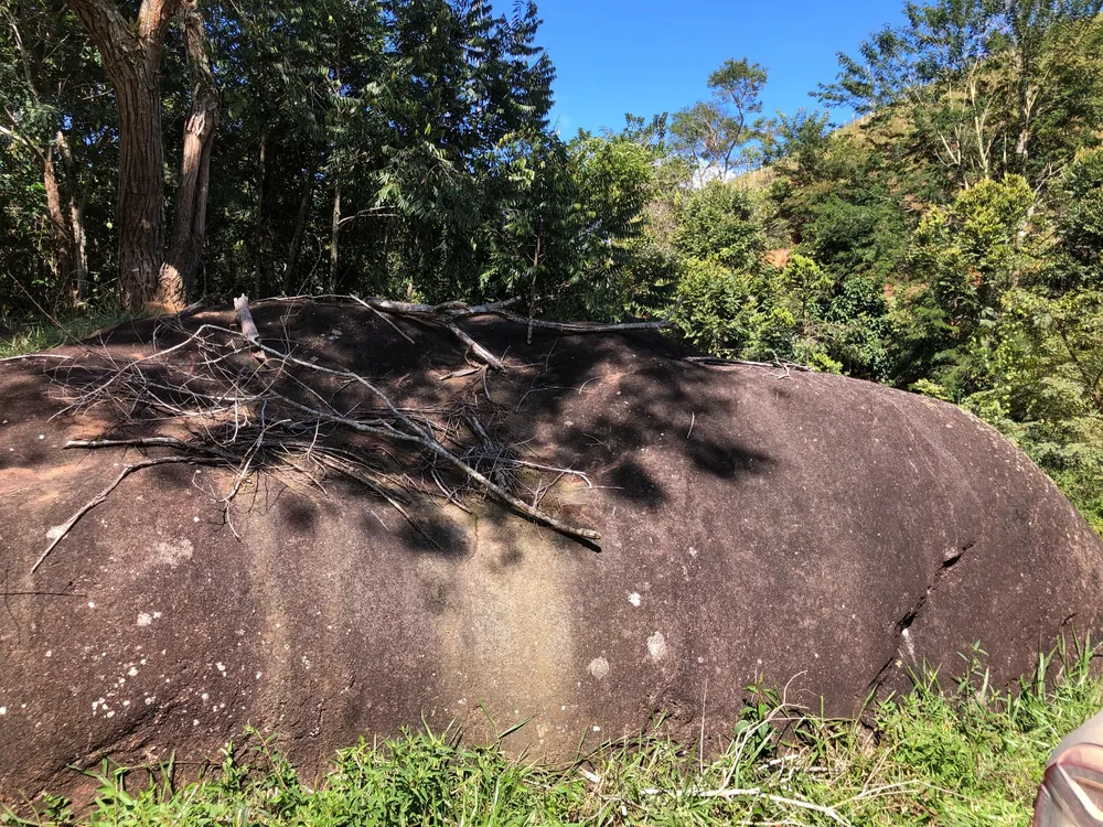 Granite block with multiple fine pegmatite veins