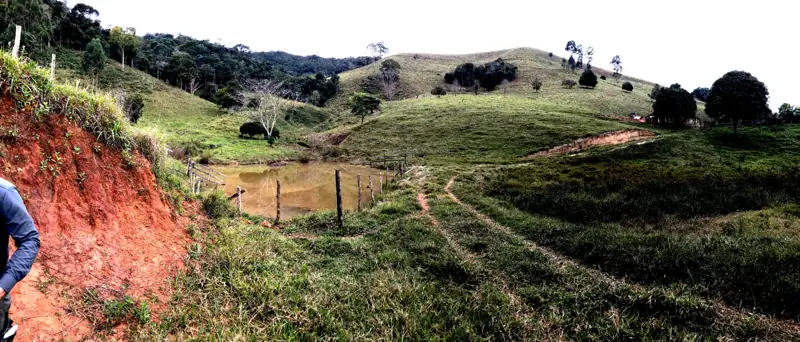 Small pond beside a weathered red-soil slope near an access trail.