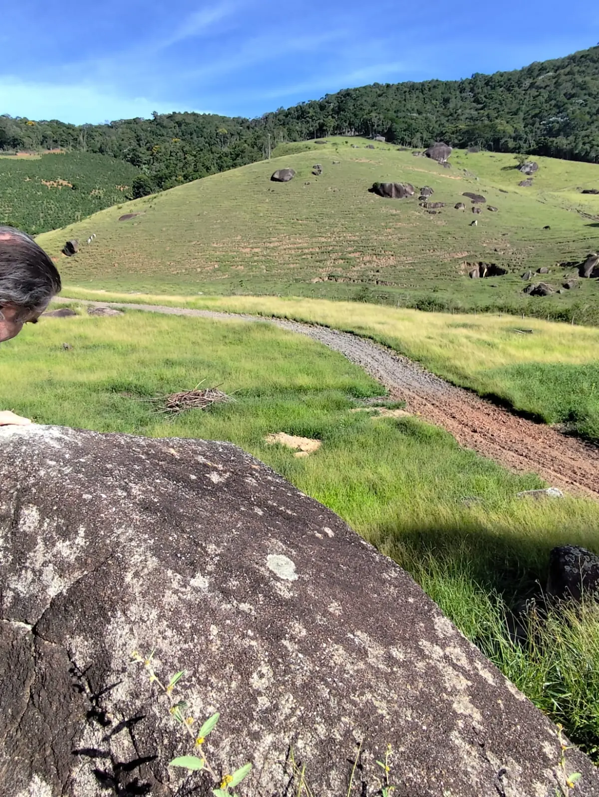 Isolated granitic boulders and domal outcrops across gentle hills
