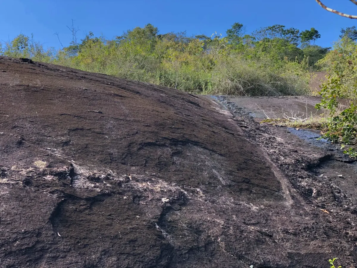 Gently dipping outcrop with a light-coloured vein in darker biotite-rich host rock.