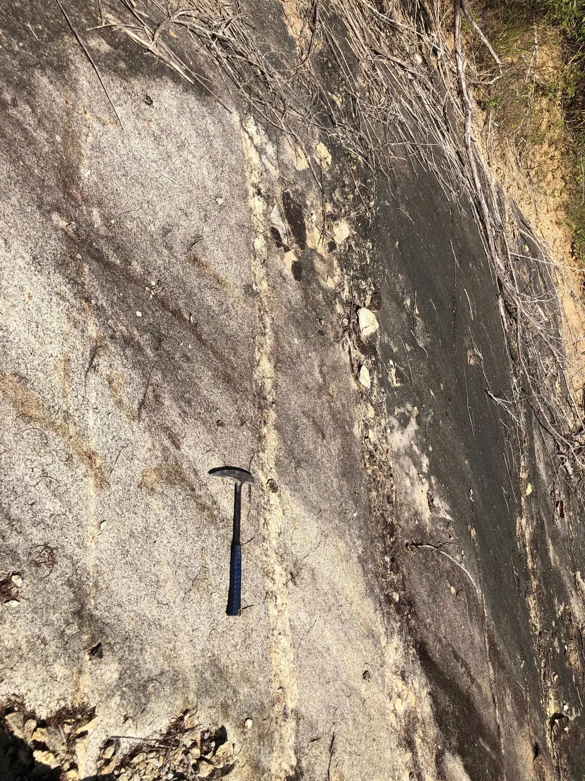 Prominent light-toned pegmatite vein cutting darker country rock along a vertical roadcut face.