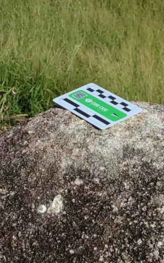Fresh coarse-grained granite with feldspar and quartz crystals