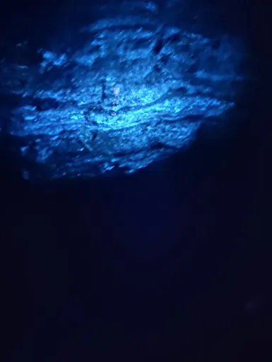 Blue-green fluorescence on pegmatite under UV light