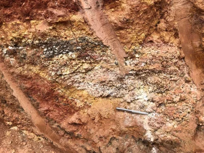 Oxidized exposure showing a banded pegmatitic vein with quartz, feldspar, and muscovite.