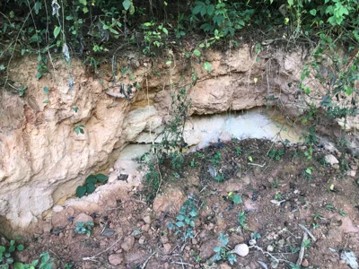 Pale kaolinitic layer exposed beneath red-brown lateritic soil.