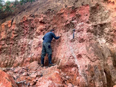 Geologist sampling an oxidized saprolite exposure with pale veins