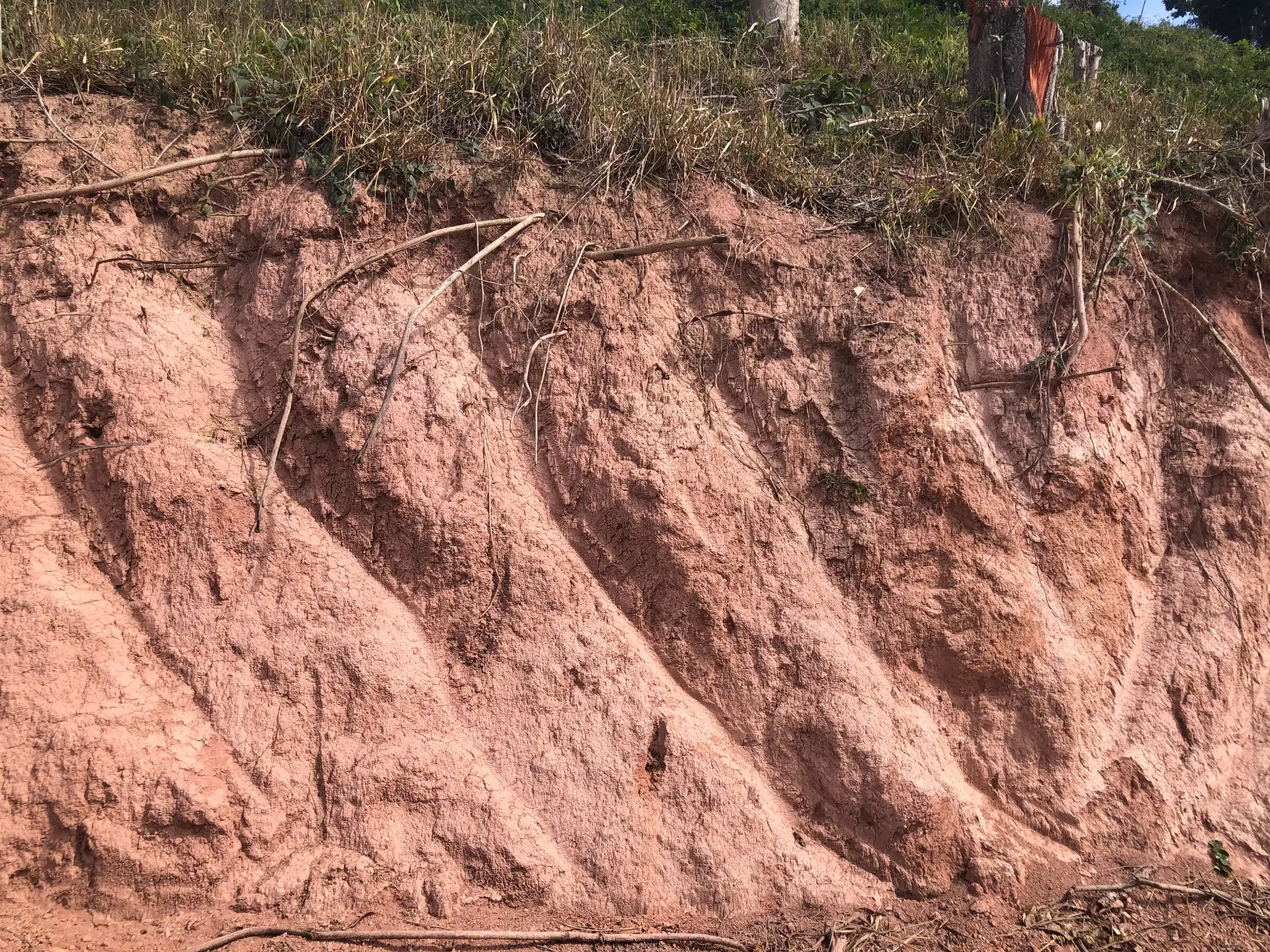 Roadcut exposure showing deeply weathered pink to red saprolite.