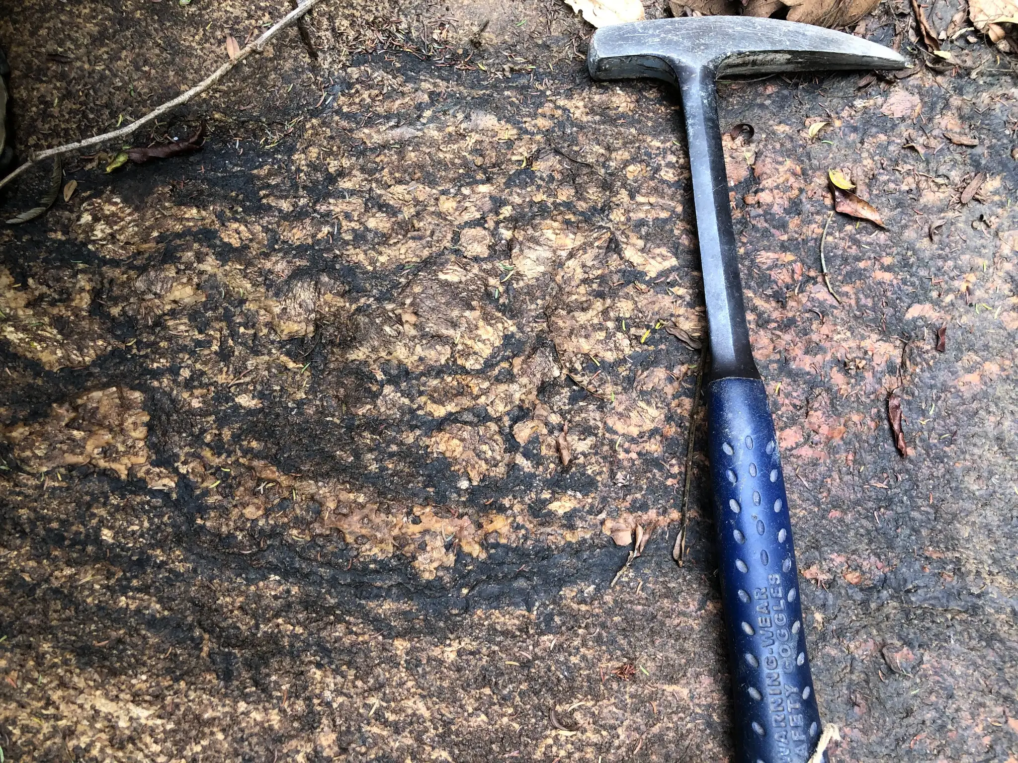 Outcrop of dark biotite-rich granite showing foliation and compositional banding.