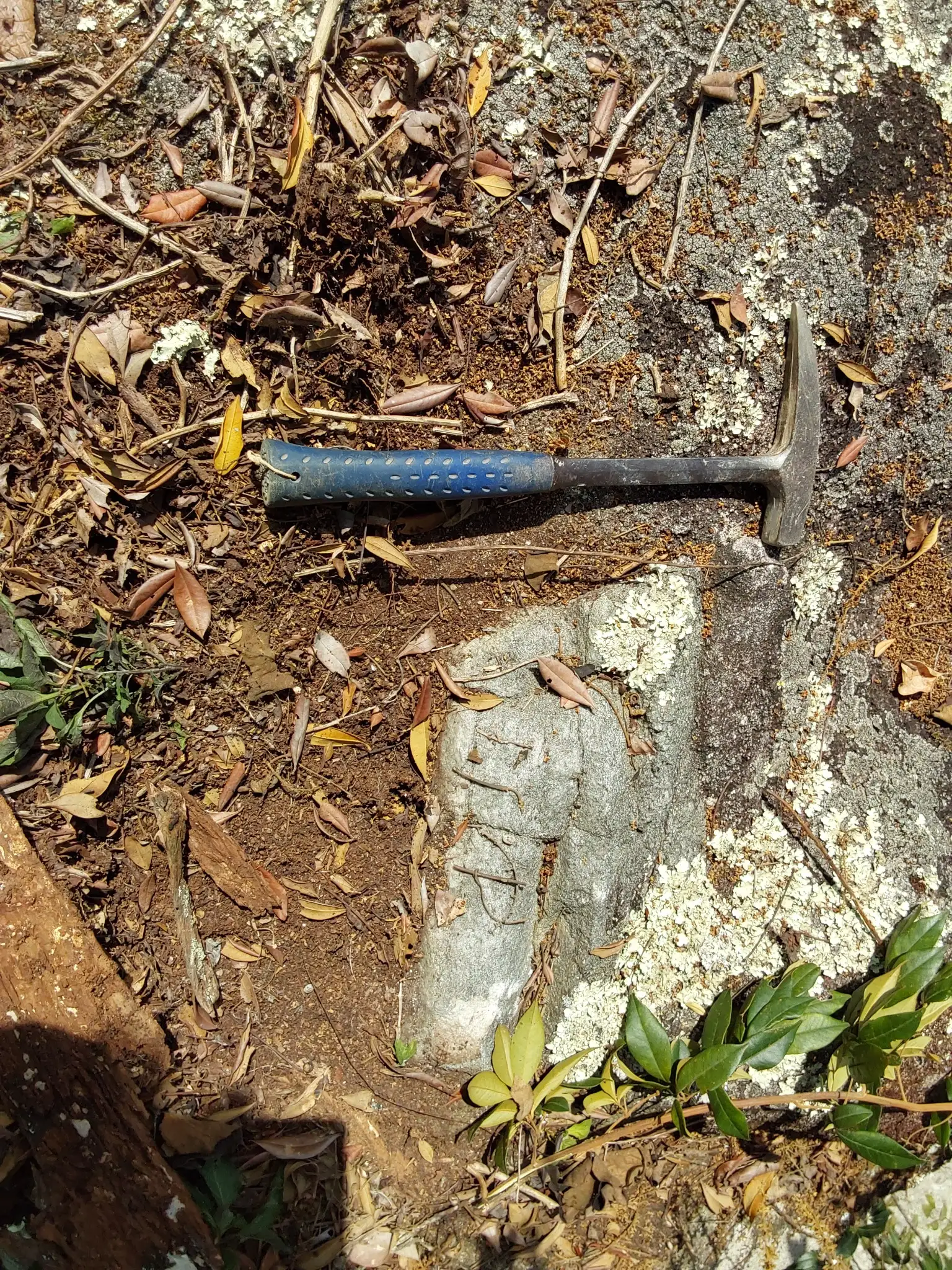 Granitic outcrop showing coarse feldspar and quartz textures exposed at surface, with a rock hammer for scale.