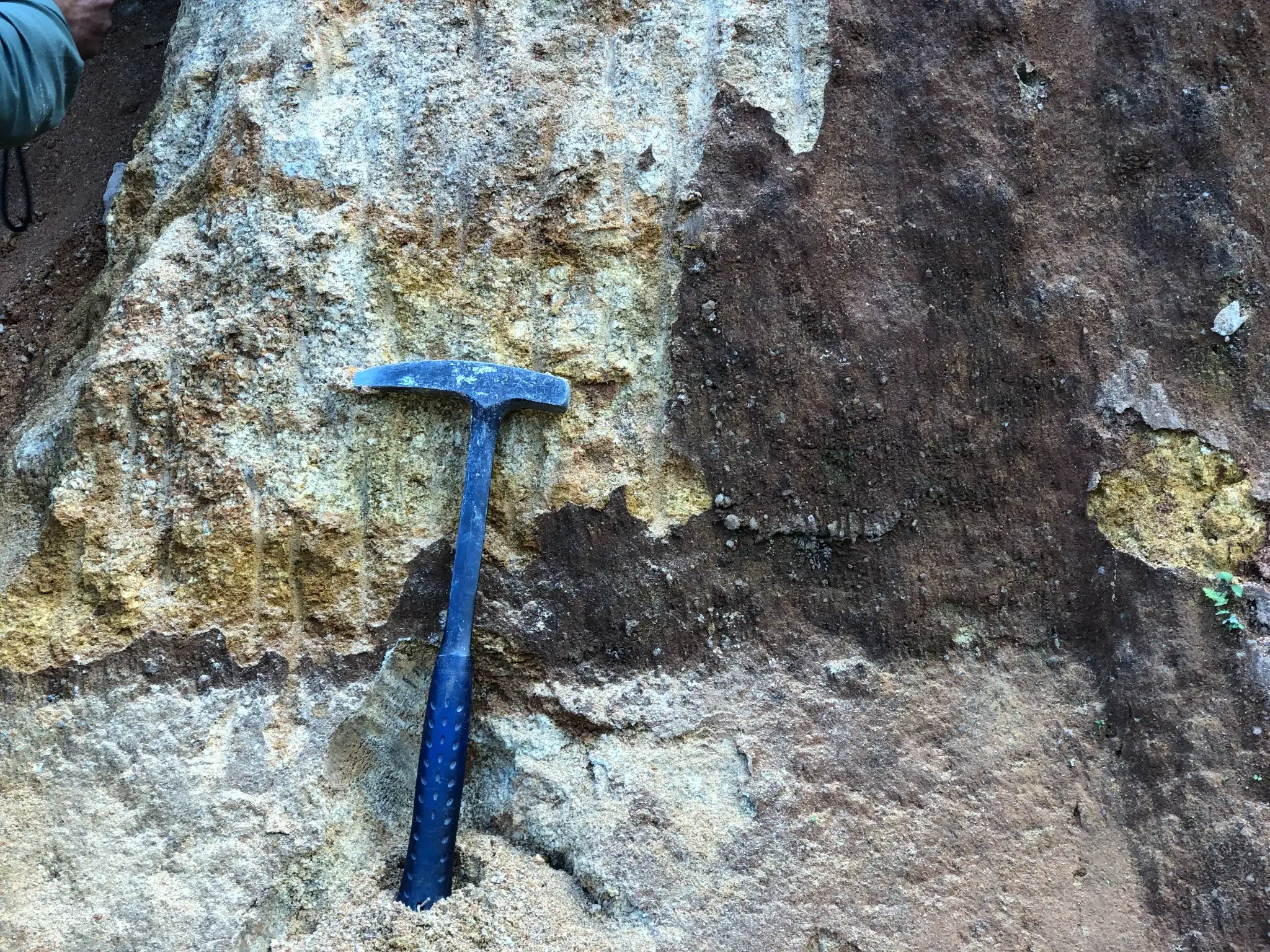 Vertical saprolite exposure showing pale and iron-stained weathering layers.