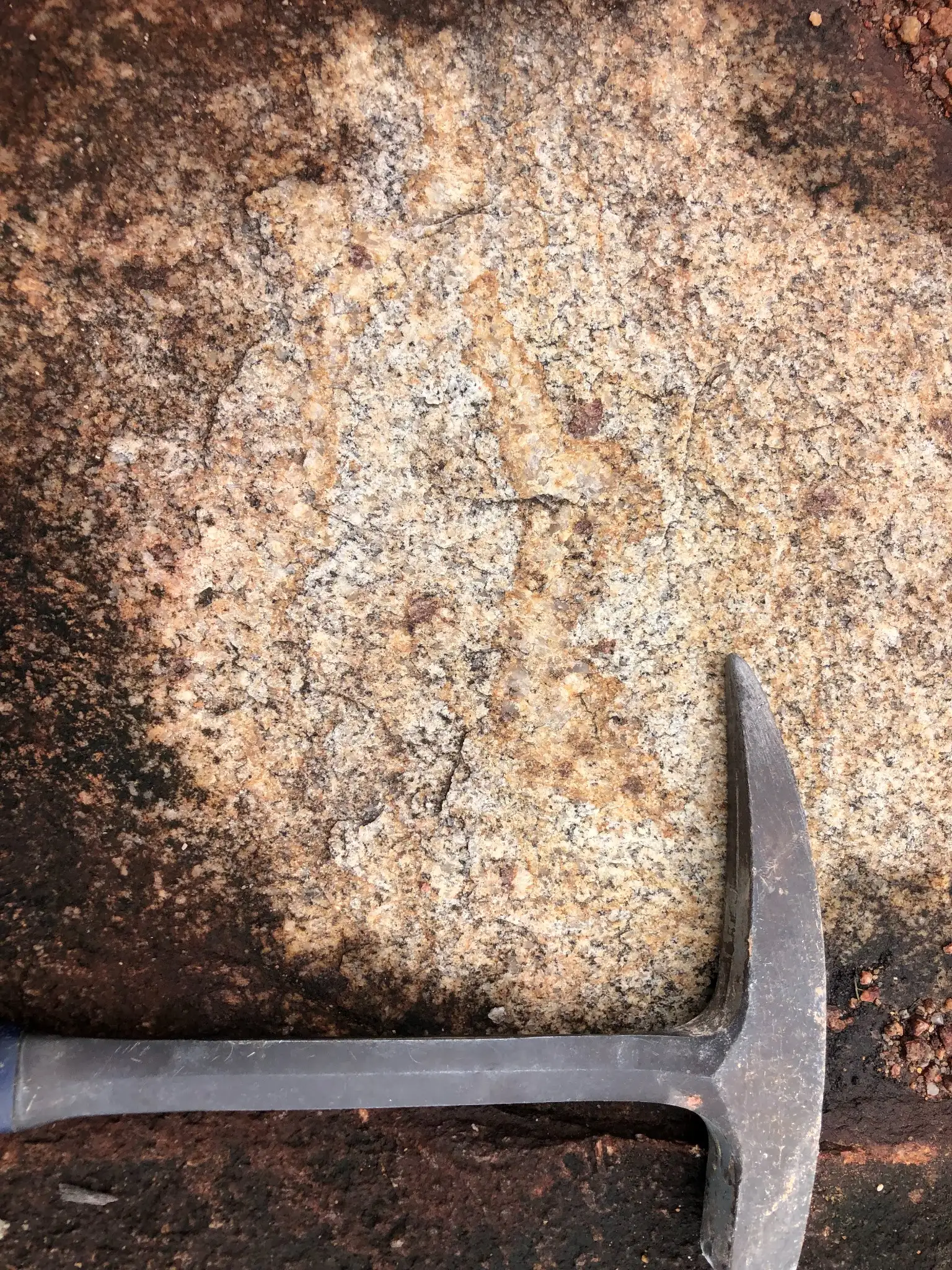 Freshly exposed granitic surface showing coarse intergrowth of feldspar, quartz, and biotite.
