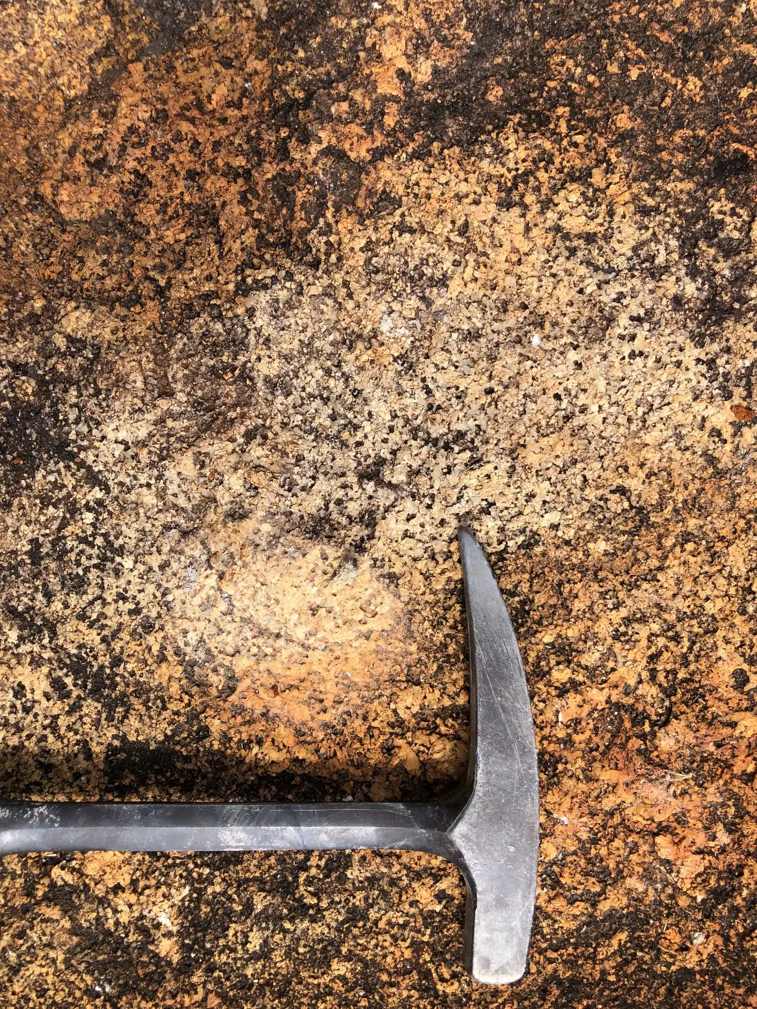 Oxidized granitic outcrop showing iron-stained surface weathering over coarse feldspar and quartz textures.