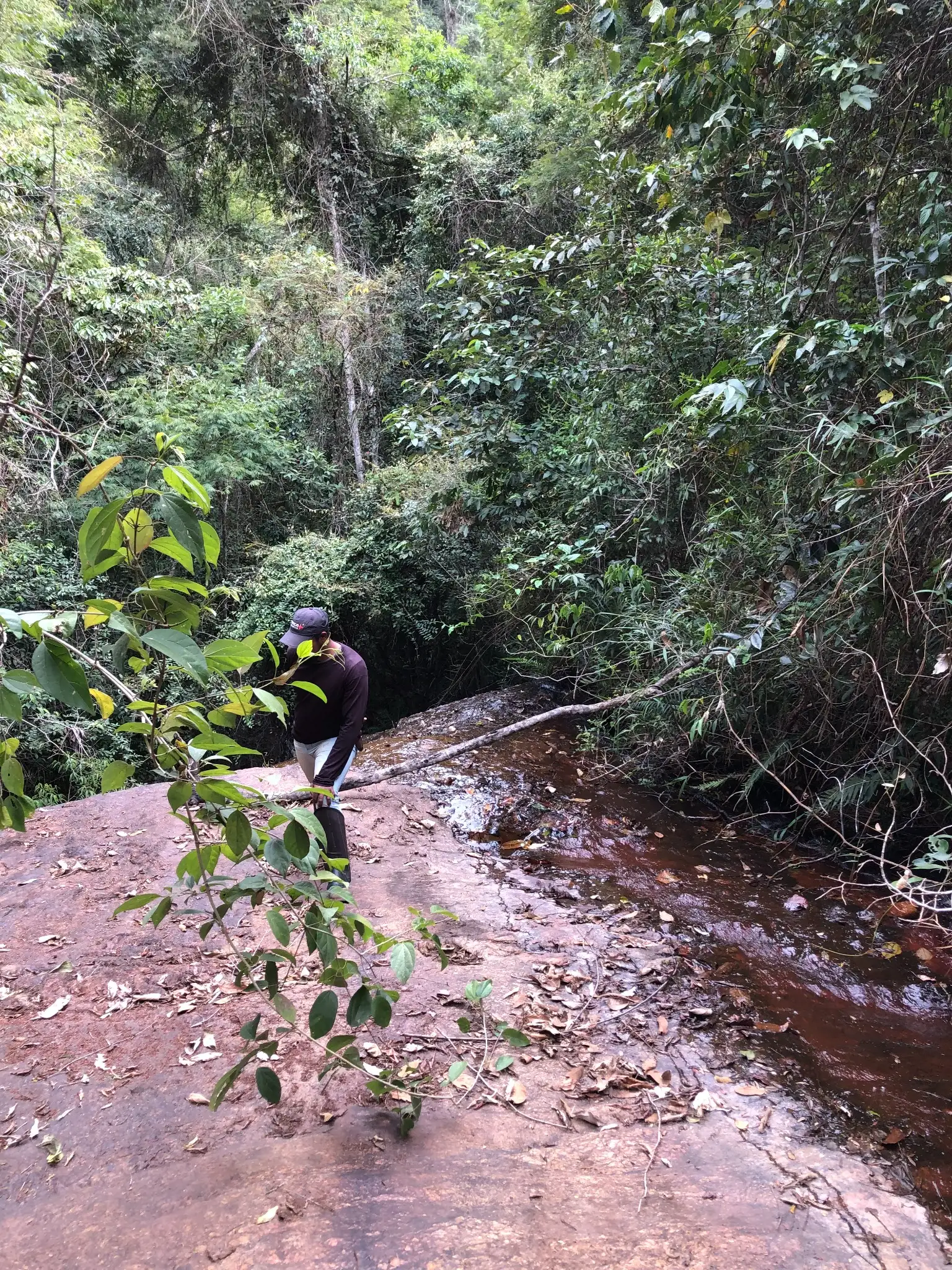 Geologist collecting stream sediment samples from a shallow creek cutting through granitic terrain at Novo Cruzeiro.