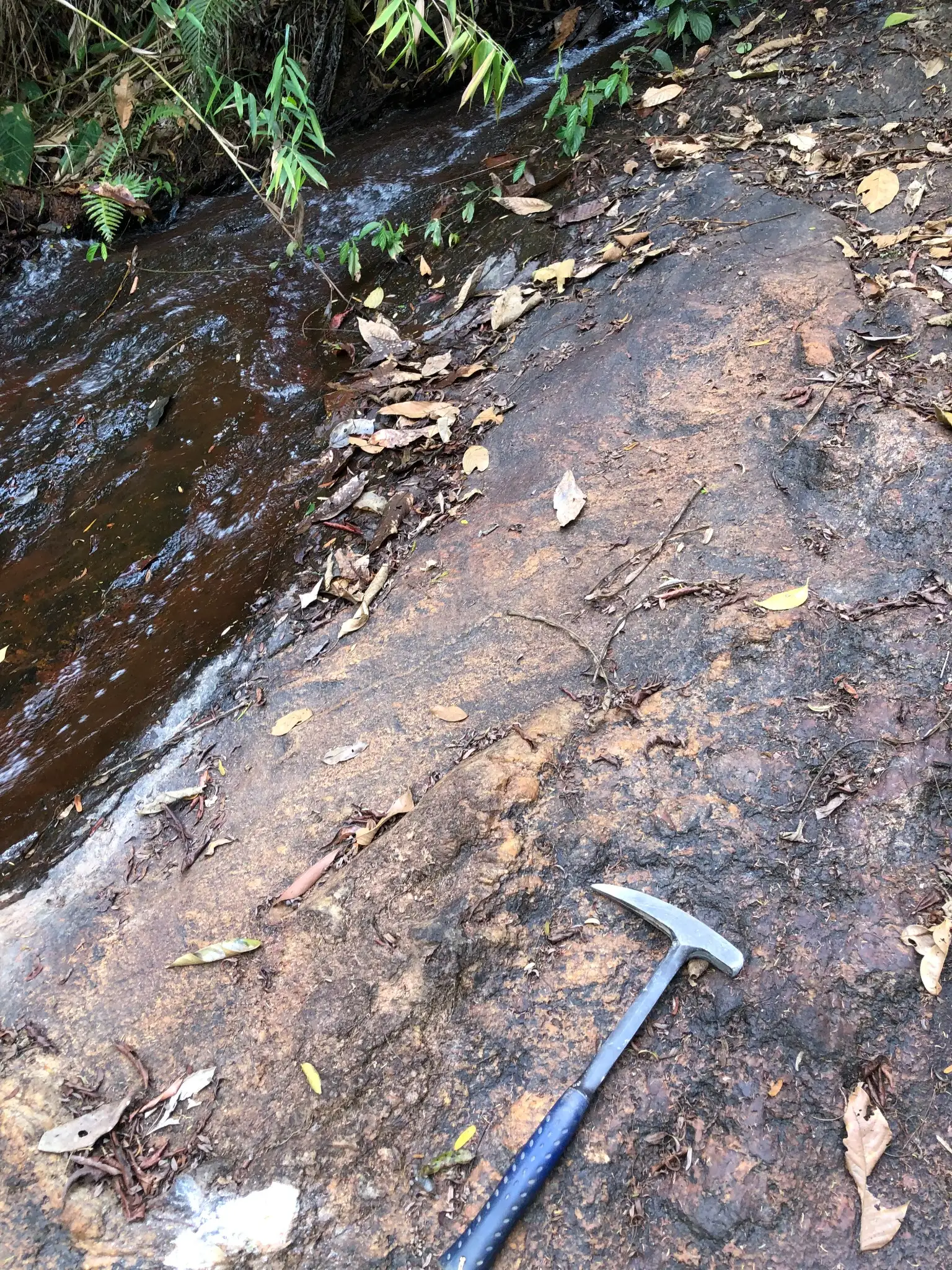 Streamside granitic outcrop beside active surface drainage.