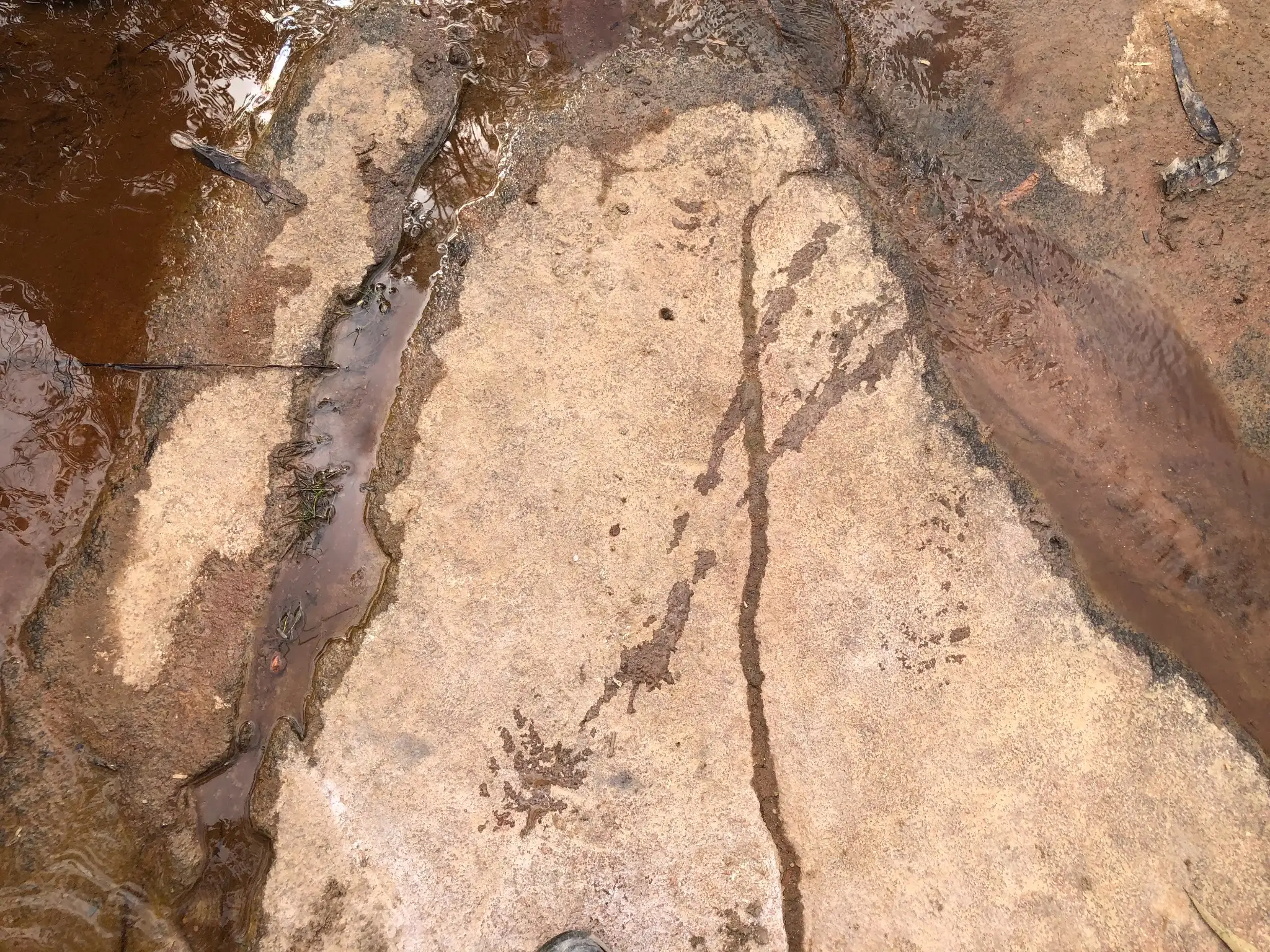 Exposed granitic bedrock along a shallow creek channel, showing fracture-controlled weathering and sediment transport.