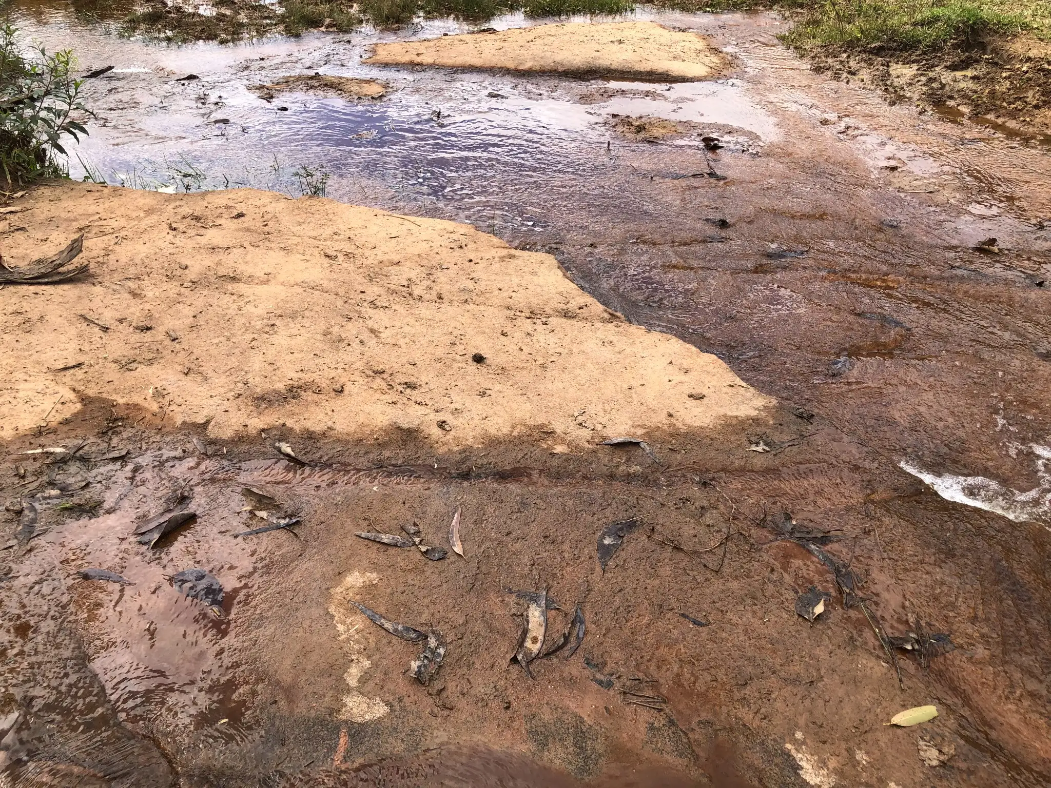 Shallow creek flowing over exposed granitic bedrock, suitable for sediment and structural observation.