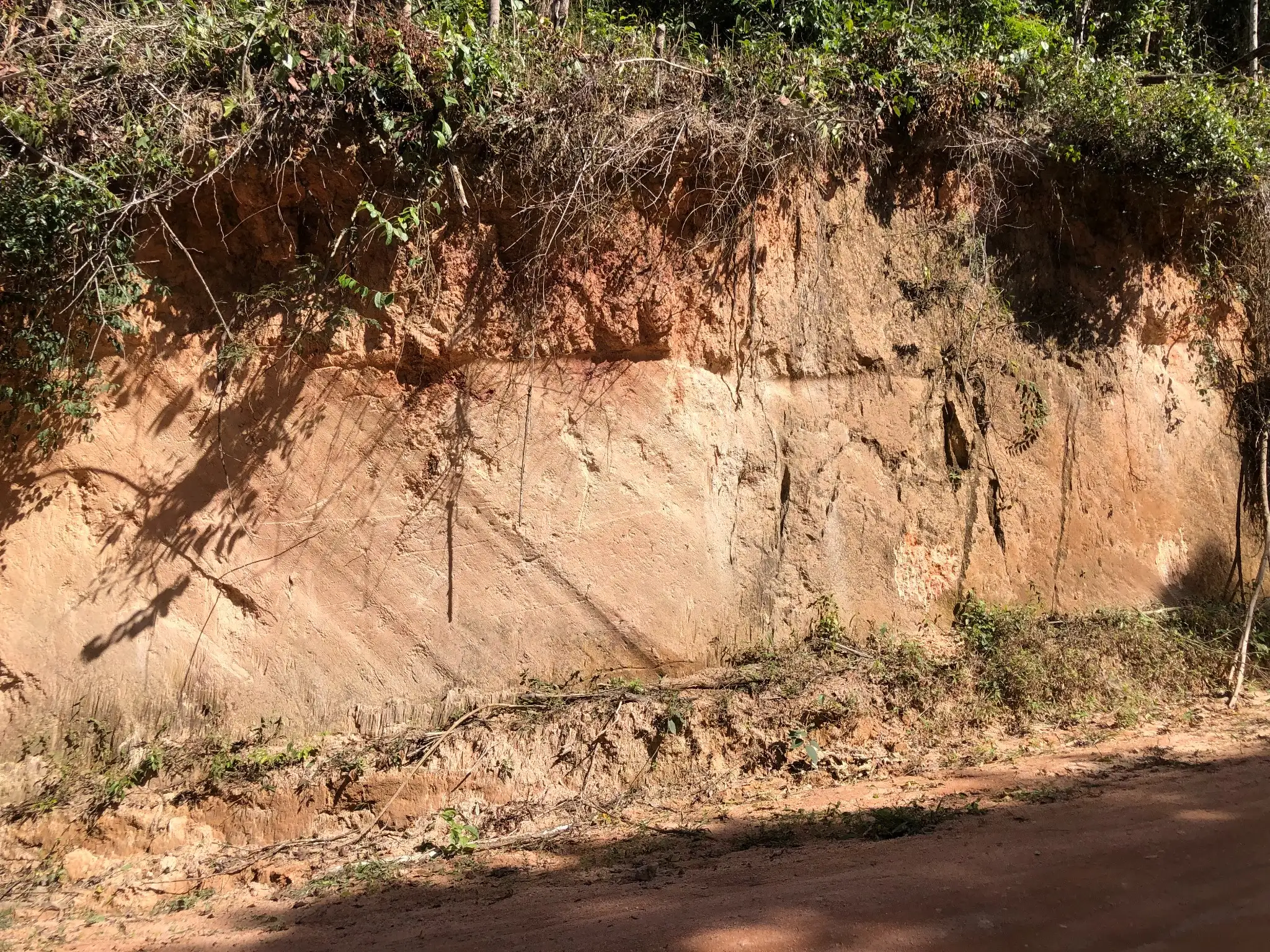 Fresh roadcut exposing a pale saprolitic profile developed over granitic bedrock.