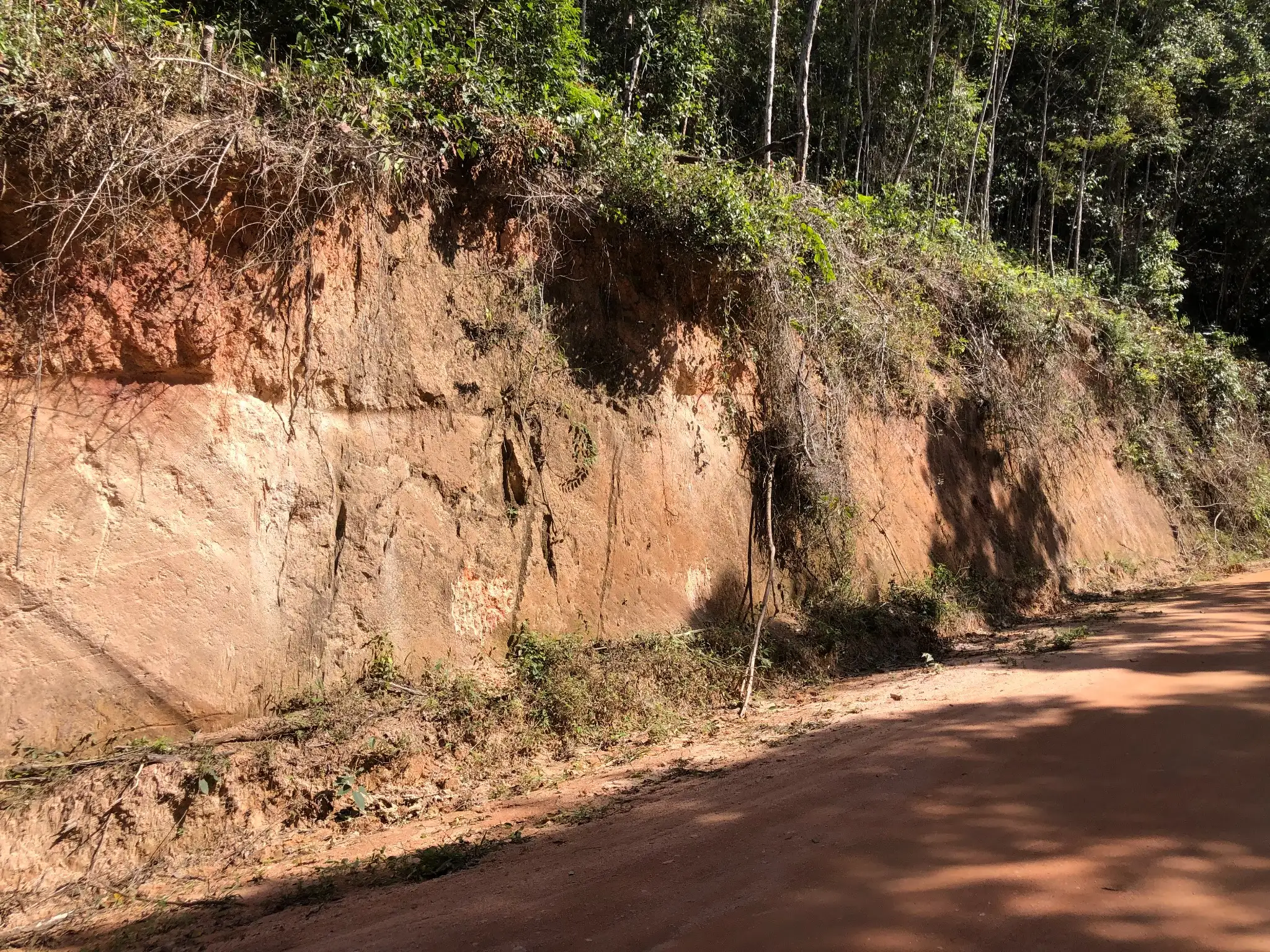 Roadcut exposure of weathered saprolitic material overlying granitic to pegmatitic bedrock.