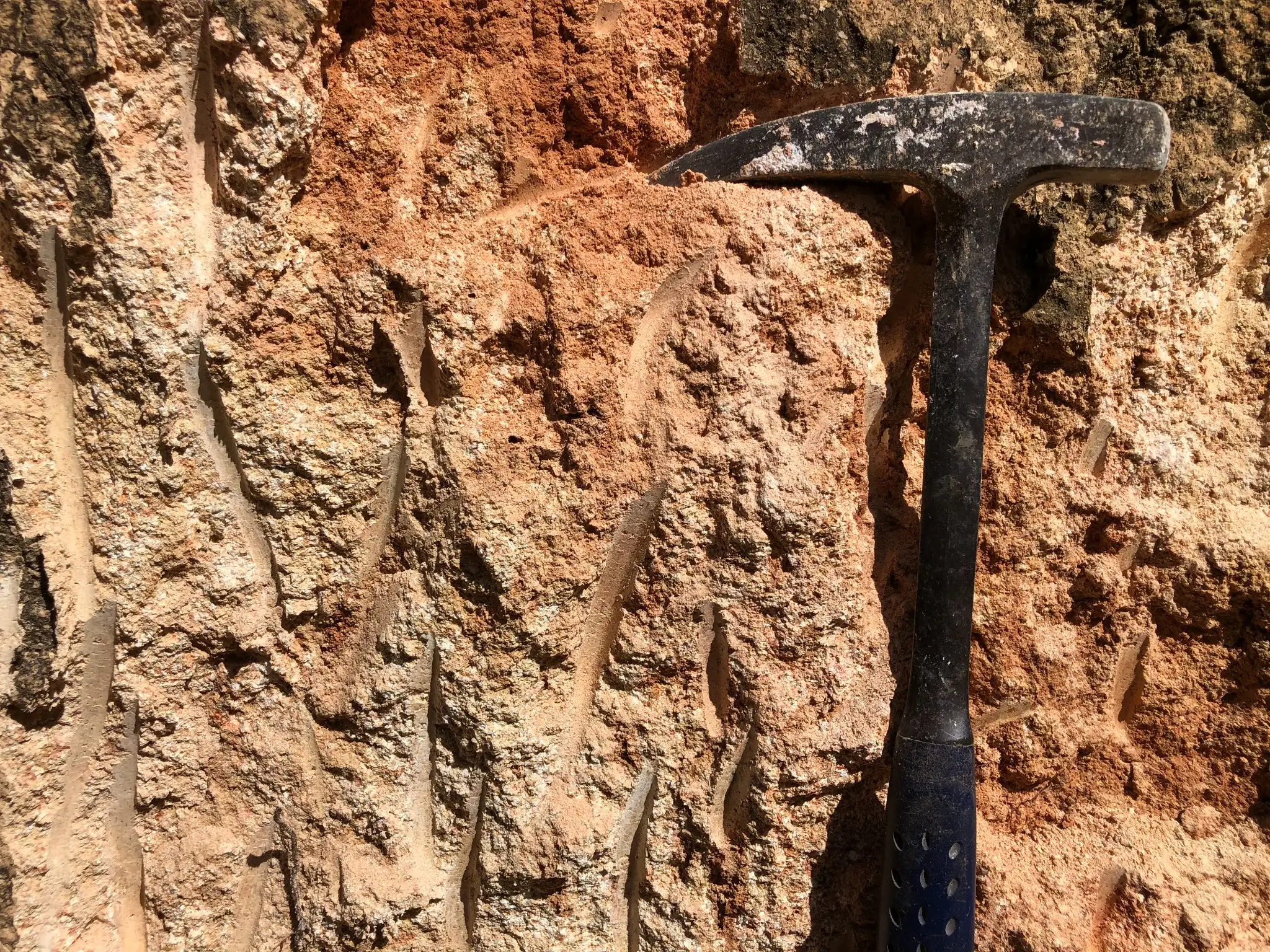 Close-up of saprolitic weathering with granular granitic fabric