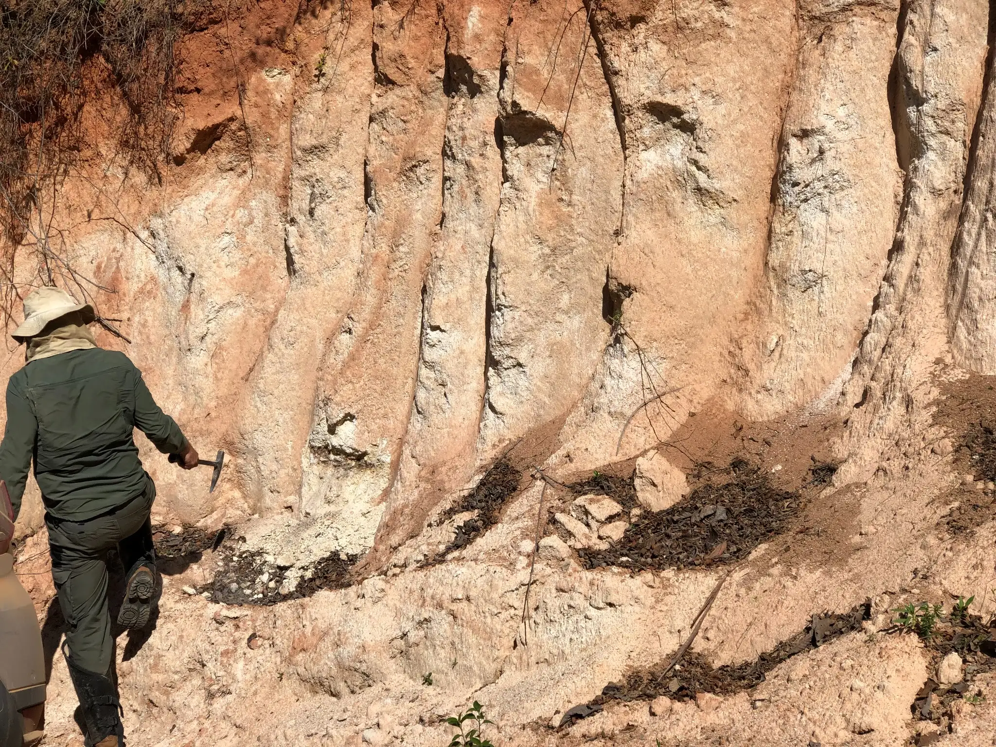 Geologist examining a kaolinite-rich saprolitic exposure with distinct bleaching and oxidation zones derived from granitic weathering.