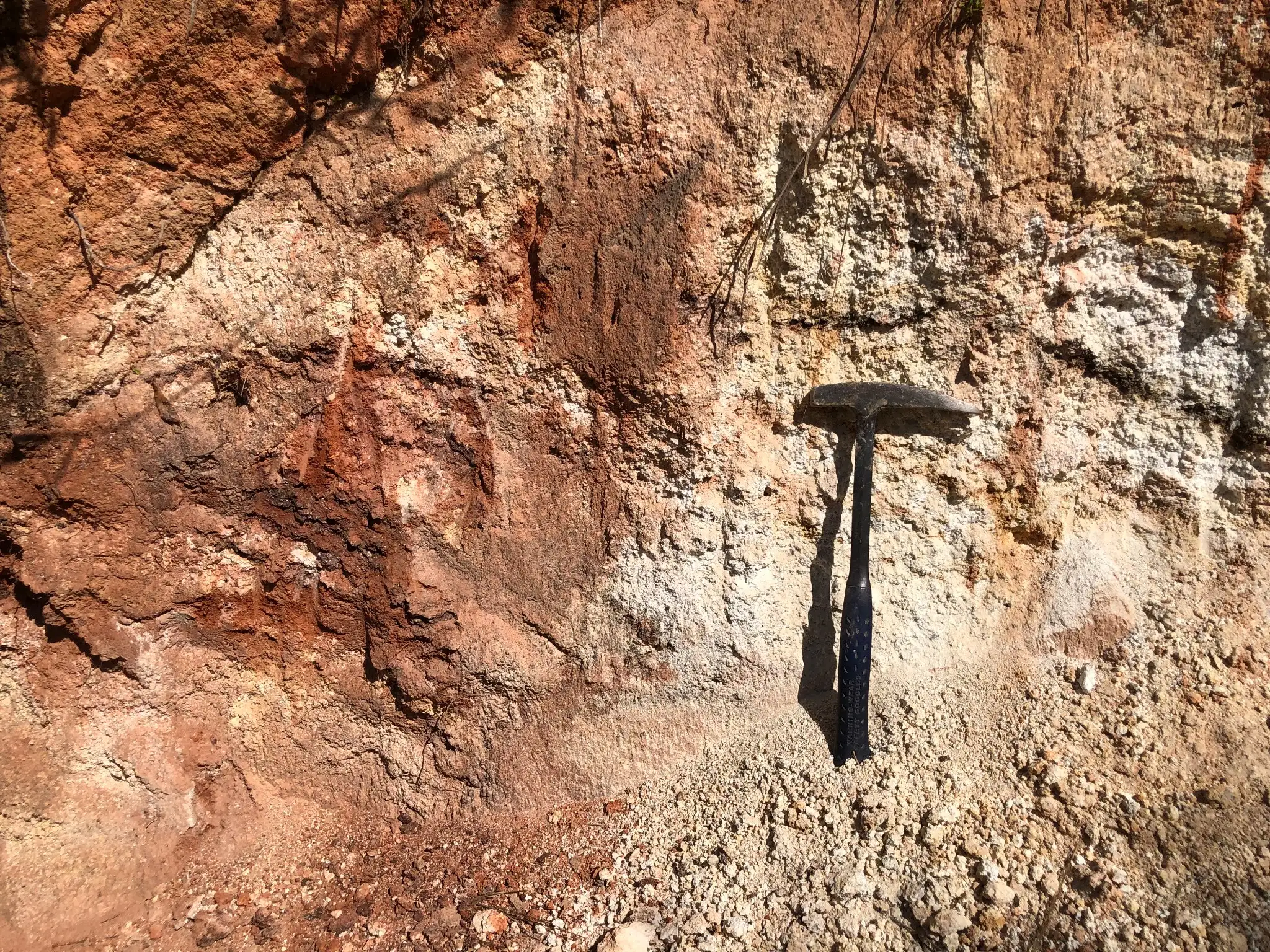 Vertical saprolite profile with pale clay-rich and iron-stained zones