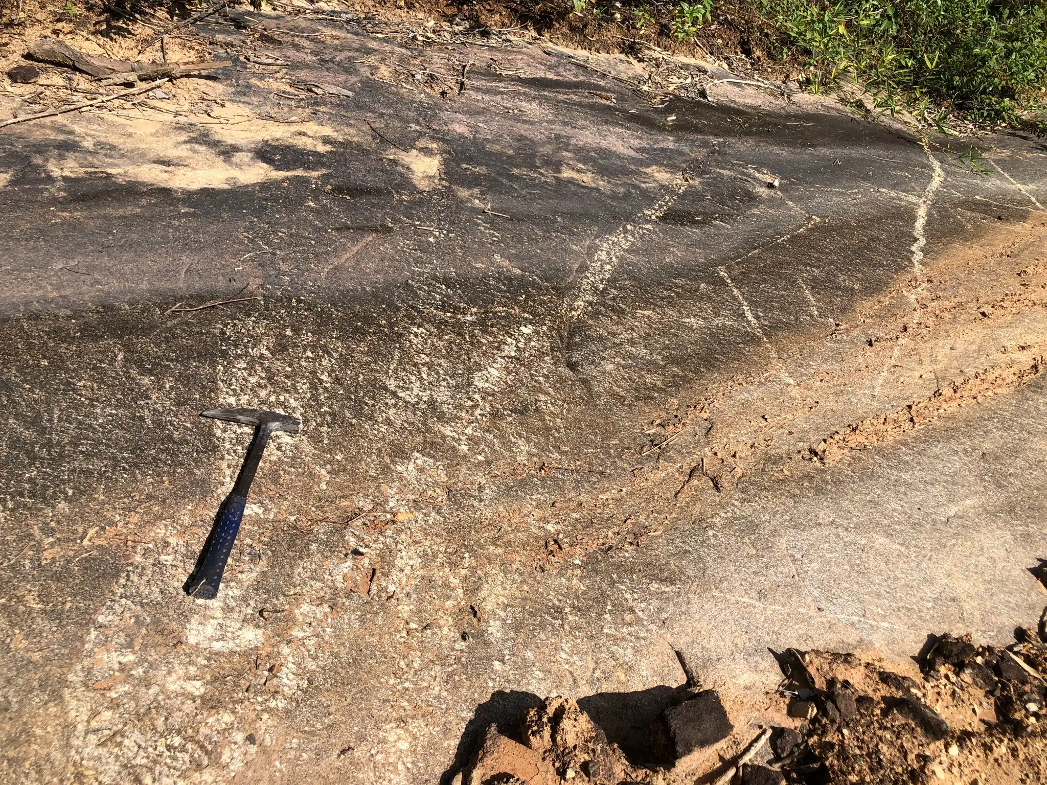 Granitic outcrop with dark biotite-rich foliation and light quartz-feldspar veinlets.