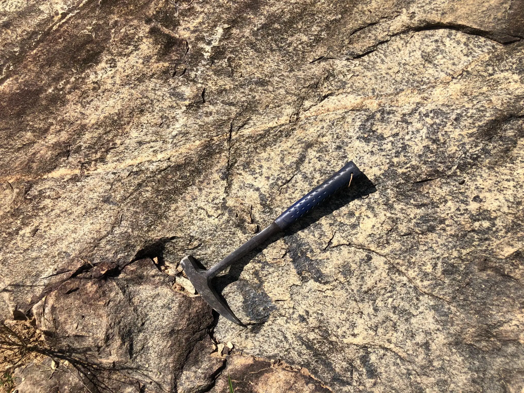 Fine- to medium-grained granitic exposure showing dark biotite-rich layering and light felsic mineral bands.