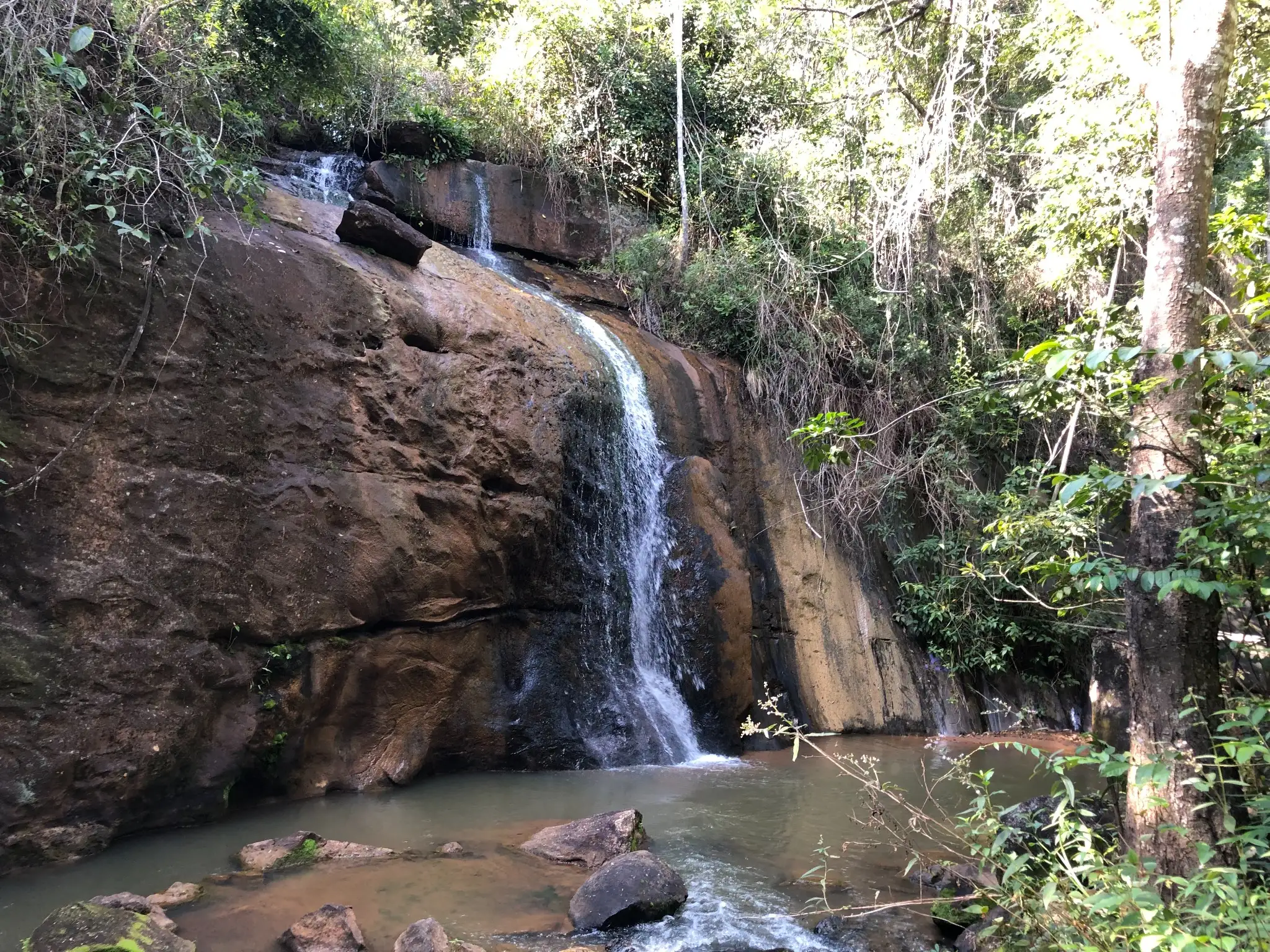 Waterfall exposing granitic bedrock along a forested stream channel.