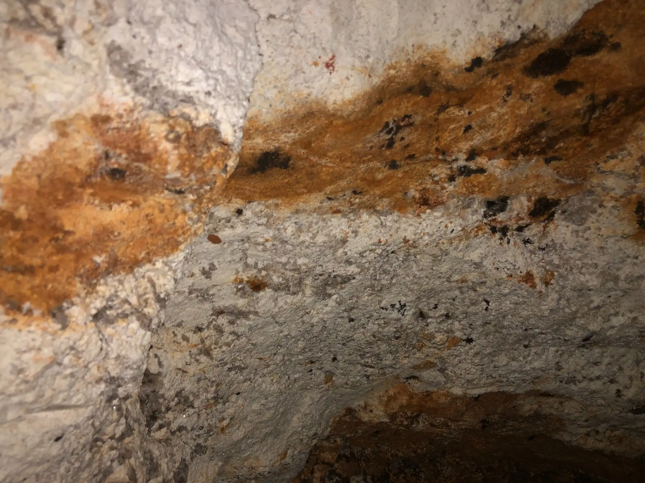Rust-colored bands in a weathered pegmatitic wall within a shallow excavation.