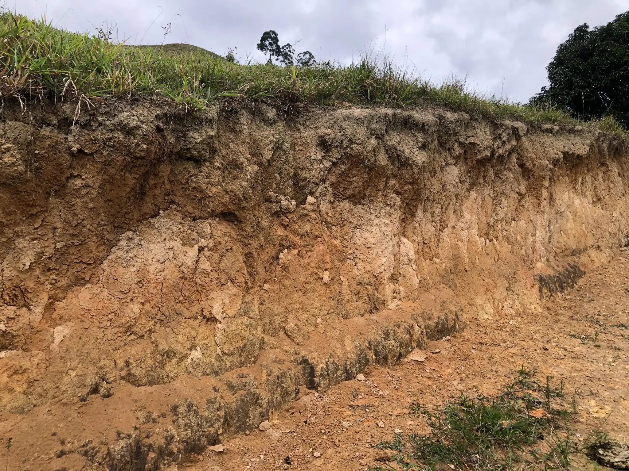 Roadcut exposure of deeply weathered saprolite over granitic rock.