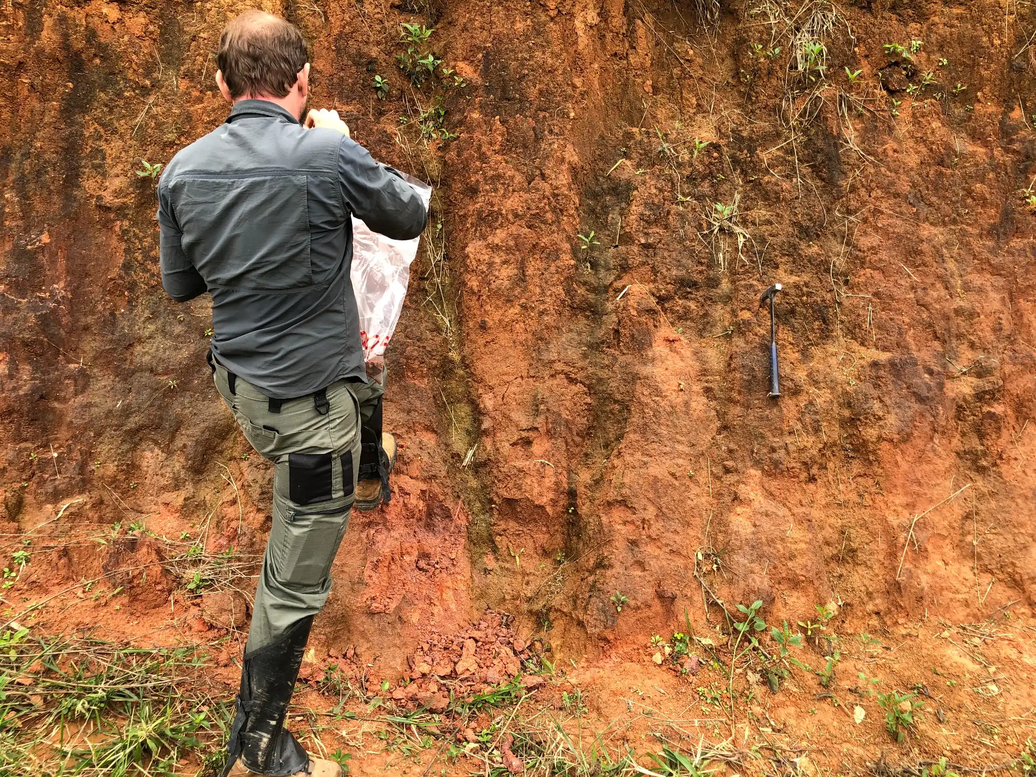 Field geologist sampling red-brown lateritic saprolite at Novo Cruzeiro.