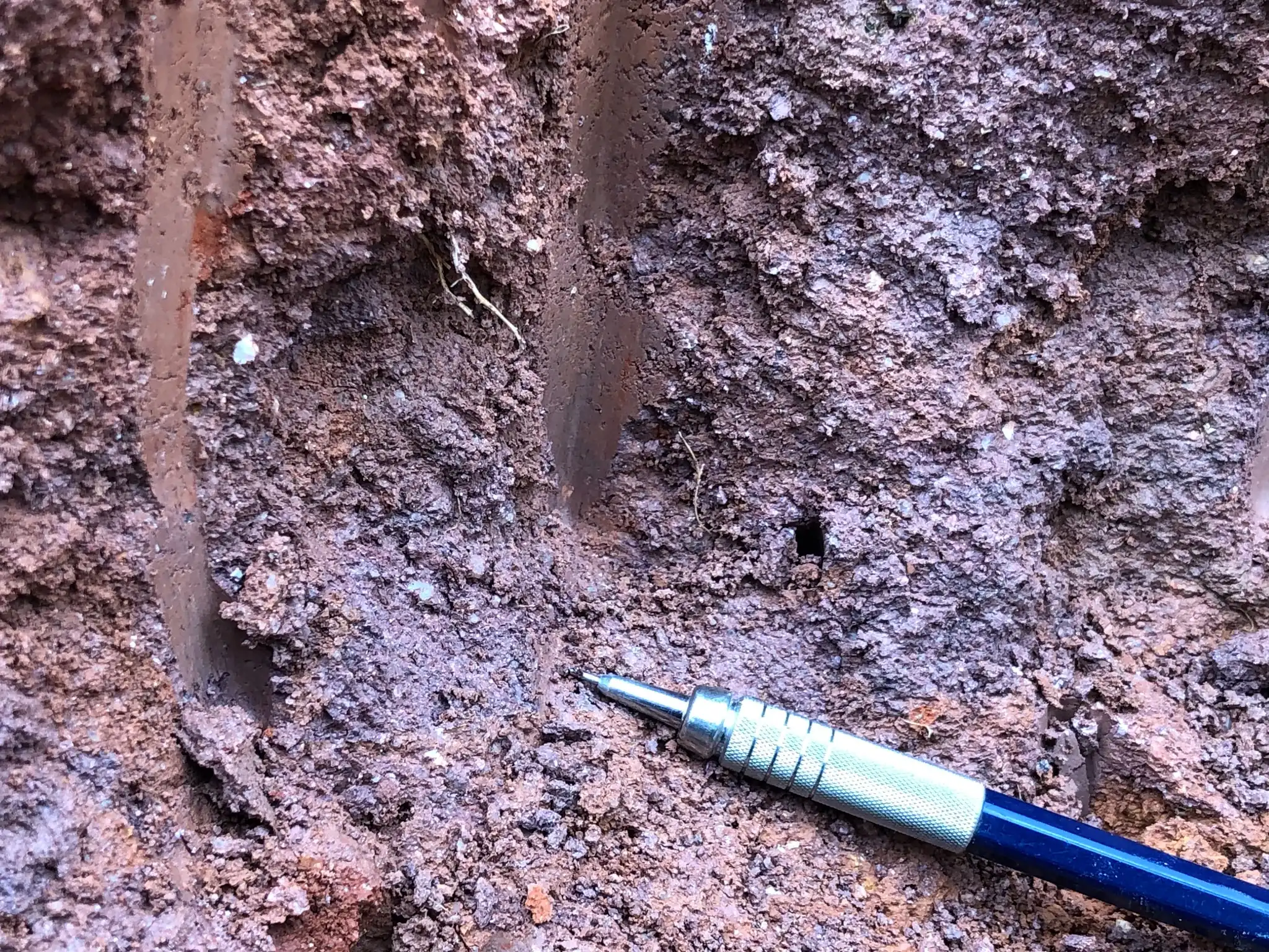 Fine-grained lateritic saprolite with clay-rich matrix and iron oxide mottling.