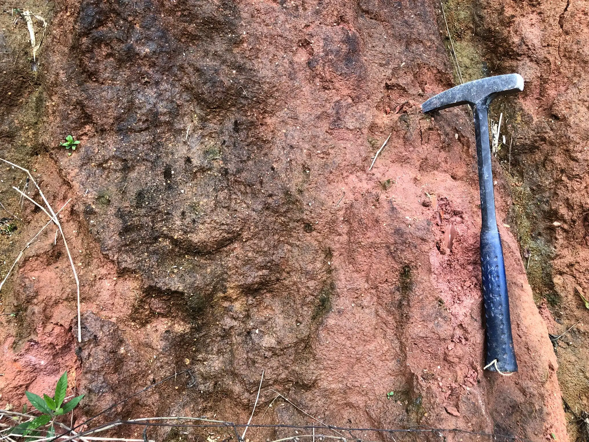 Iron-stained lateritic profile in weathered granitic saprolite.