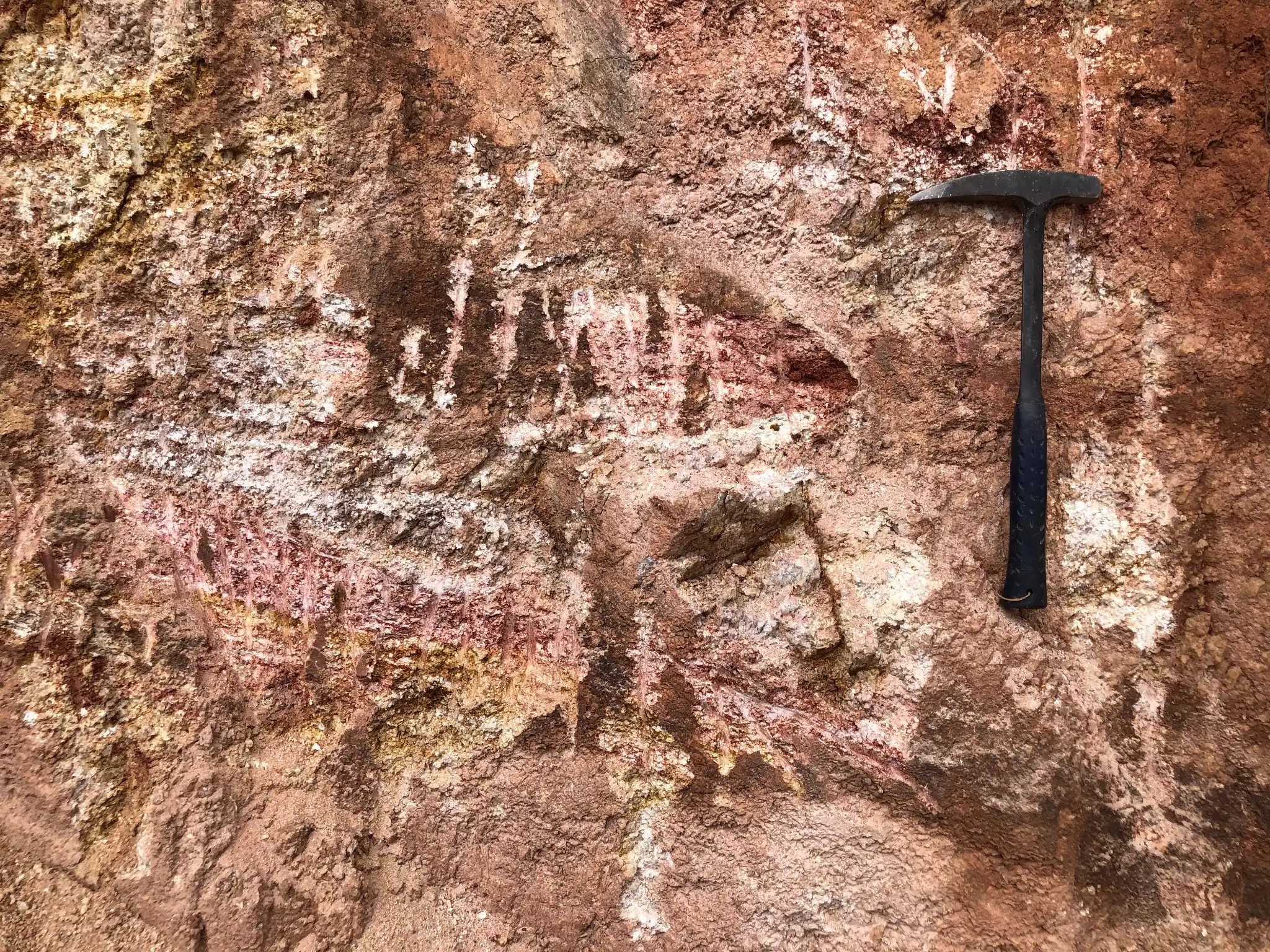 Kaolinized, iron-stained saprolite with remnant feldspar textures.