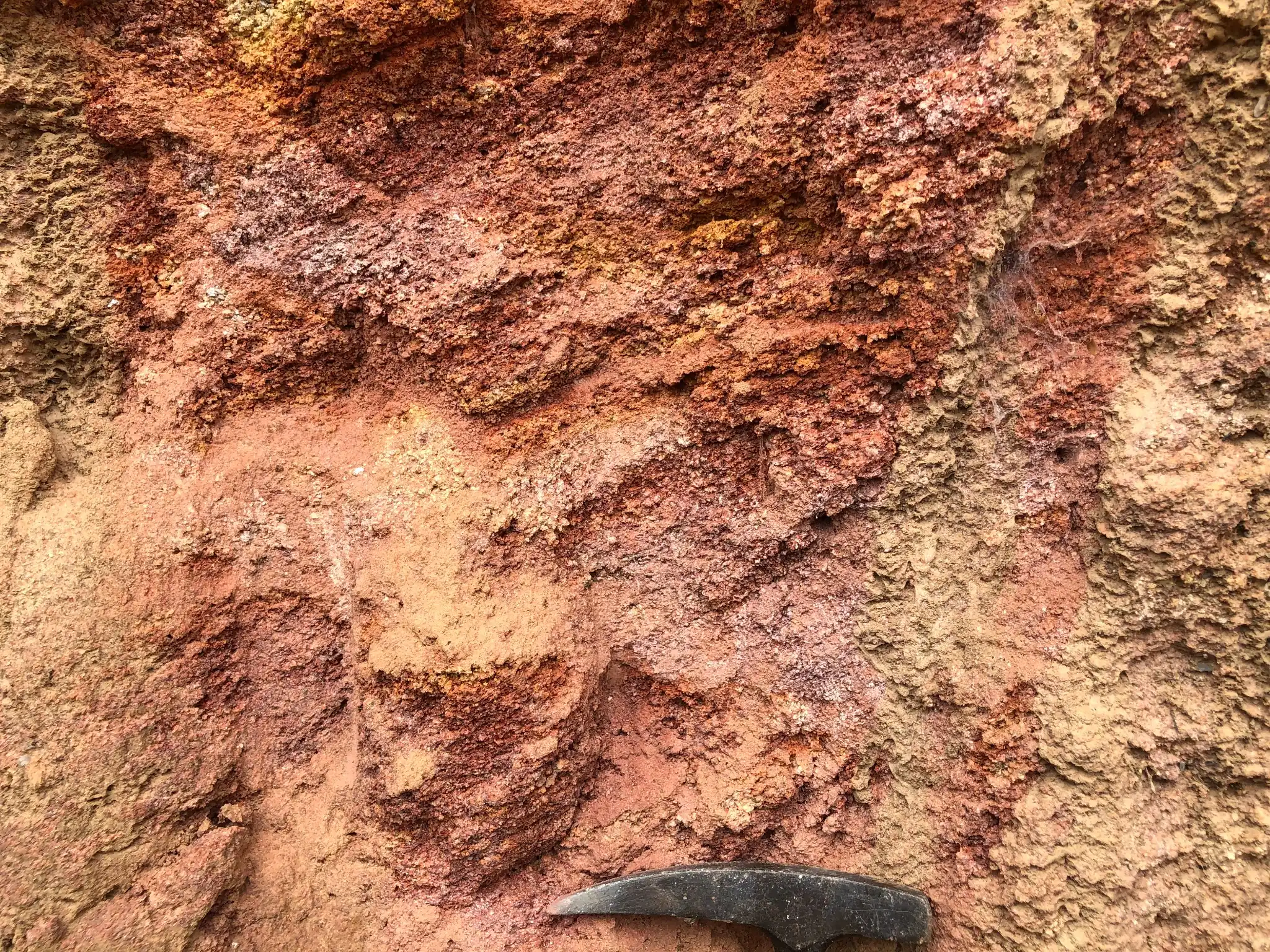 Iron-stained saprolite with mottled red and yellow-brown weathering textures.