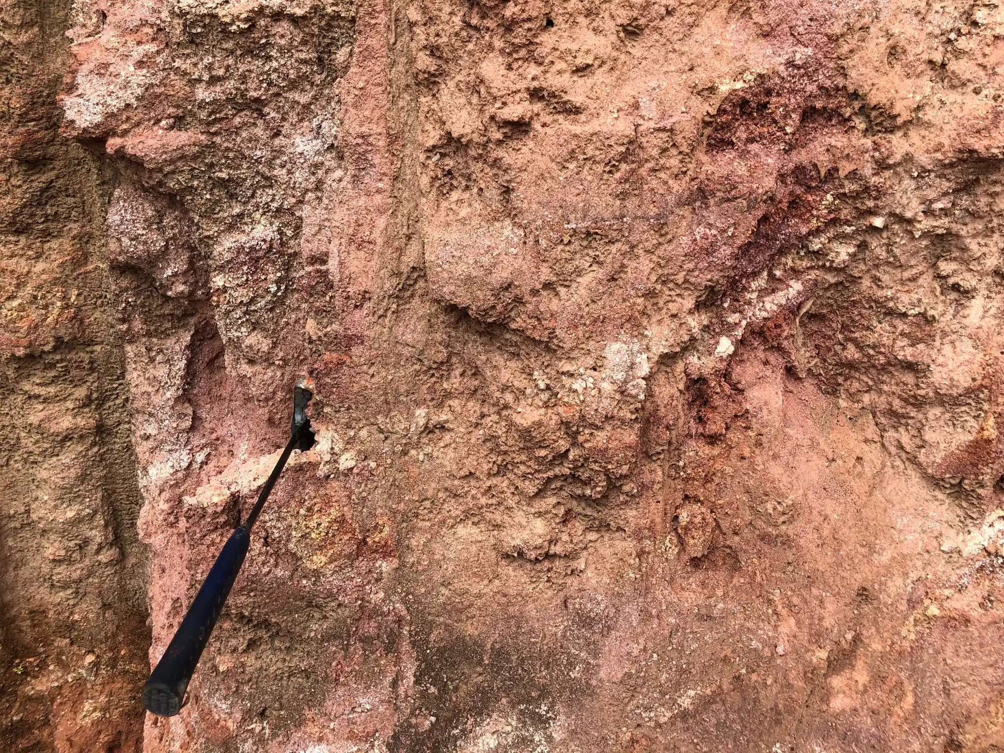 Roadcut exposure of pink to reddish saprolite in weathered granitic rock.