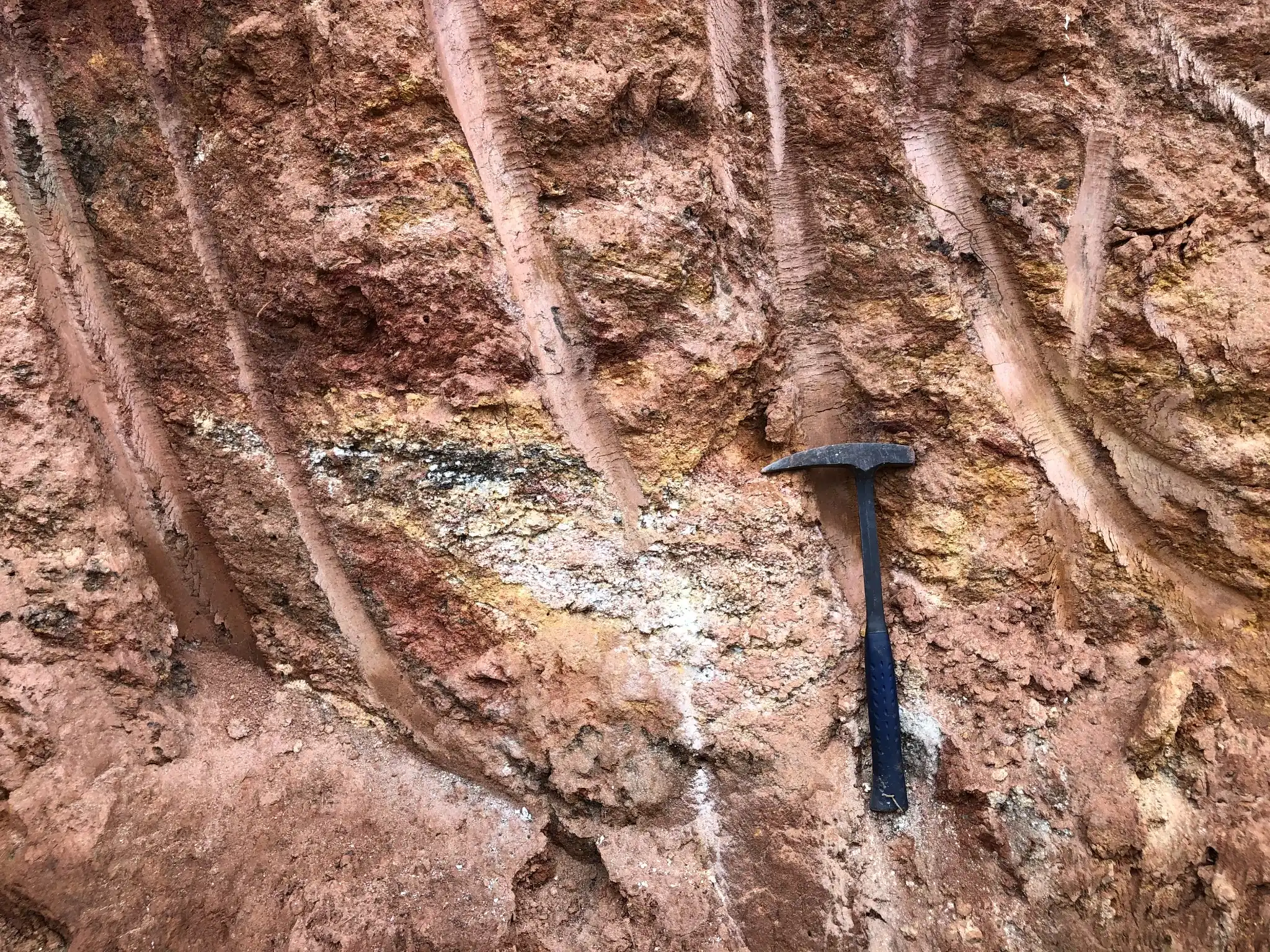 Vertical roadcut exposure showing kaolinized saprolite with quartz-rich bands and ferruginous staining.