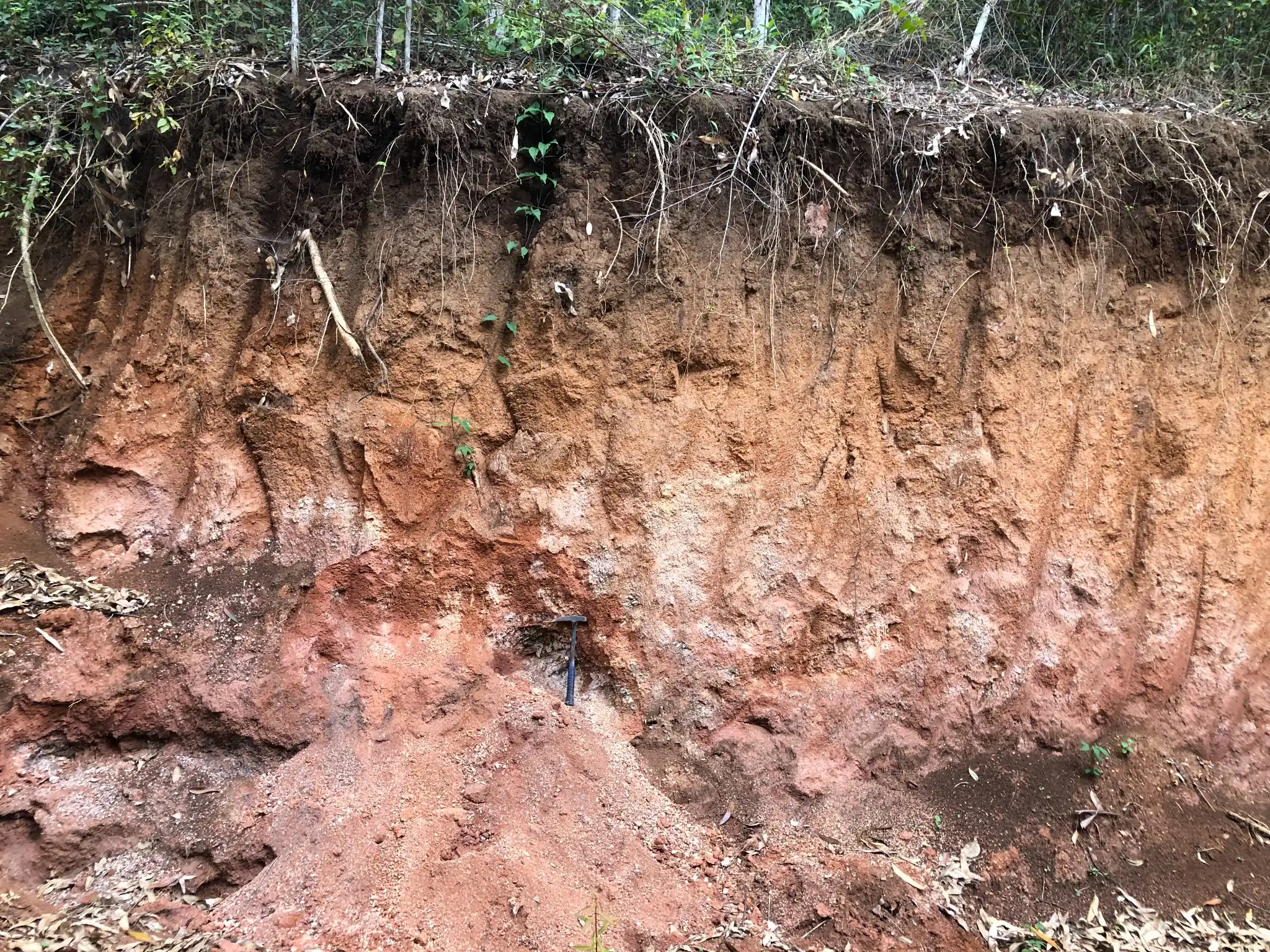 Deeply weathered roadcut with layered saprolitic soil over granitic bedrock.