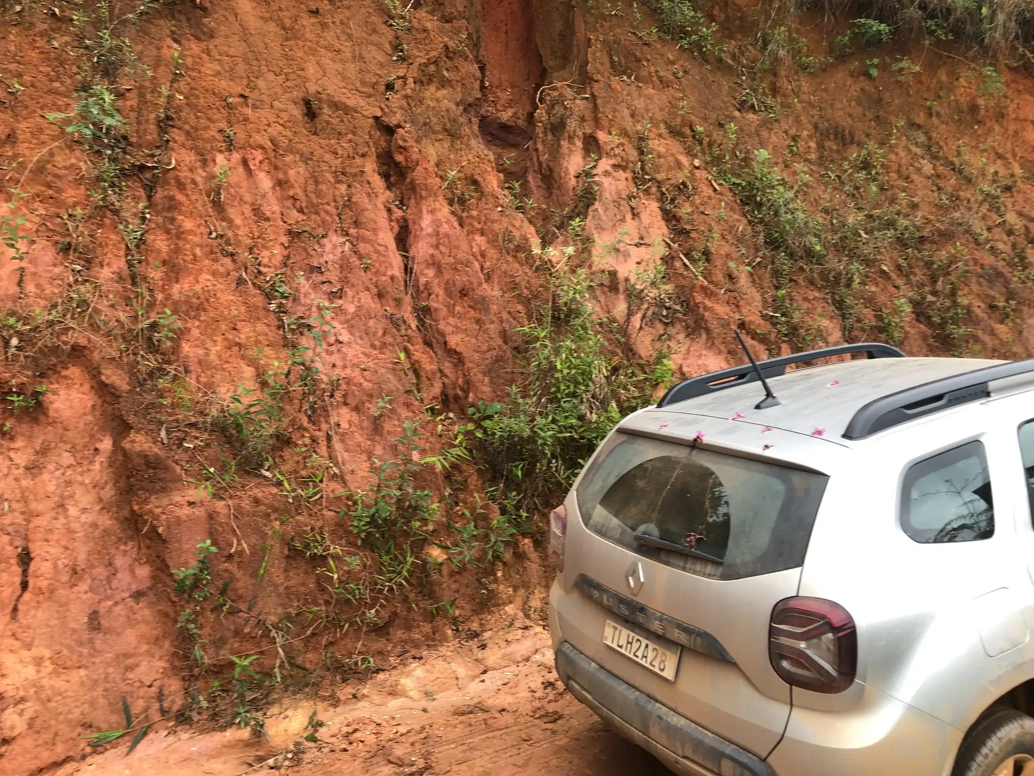 Roadcut exposure with red oxidized saprolite in weathered granitic terrain.