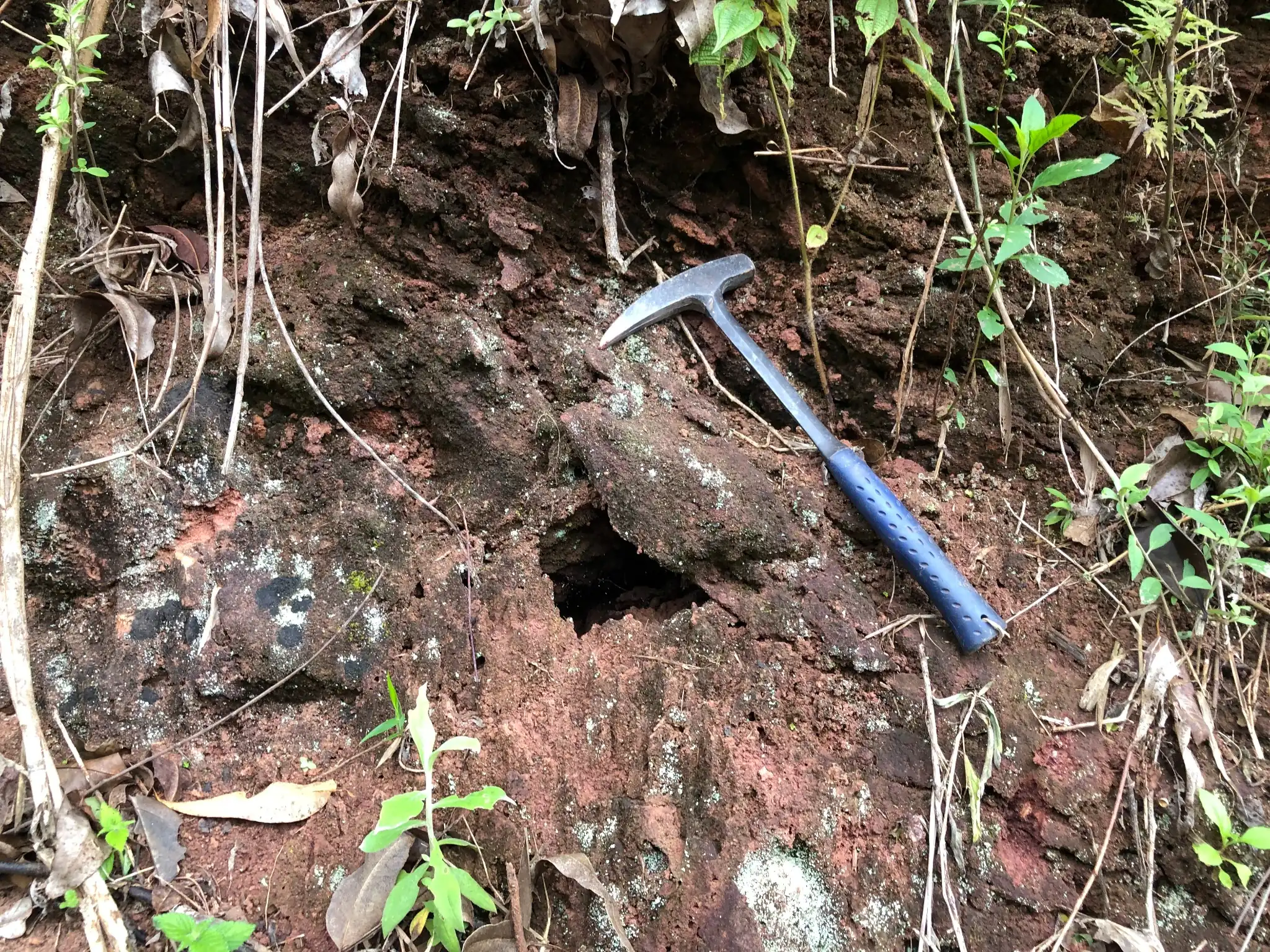 Iron-stained weathered exposure along a vegetated slope.