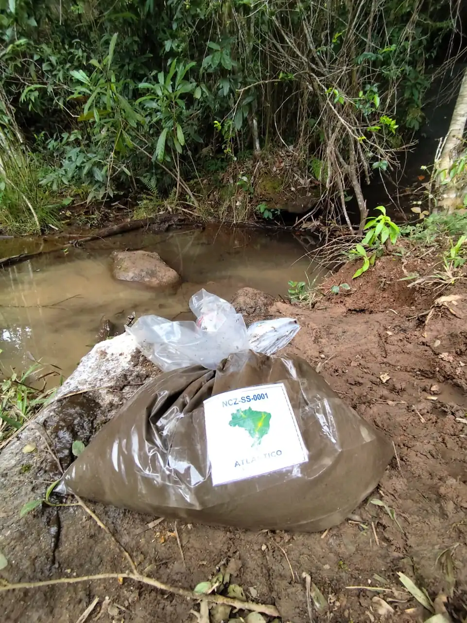 Stream sediment sample NCZ-SS-0001 collected from a small drainage at Novo Cruzeiro.
