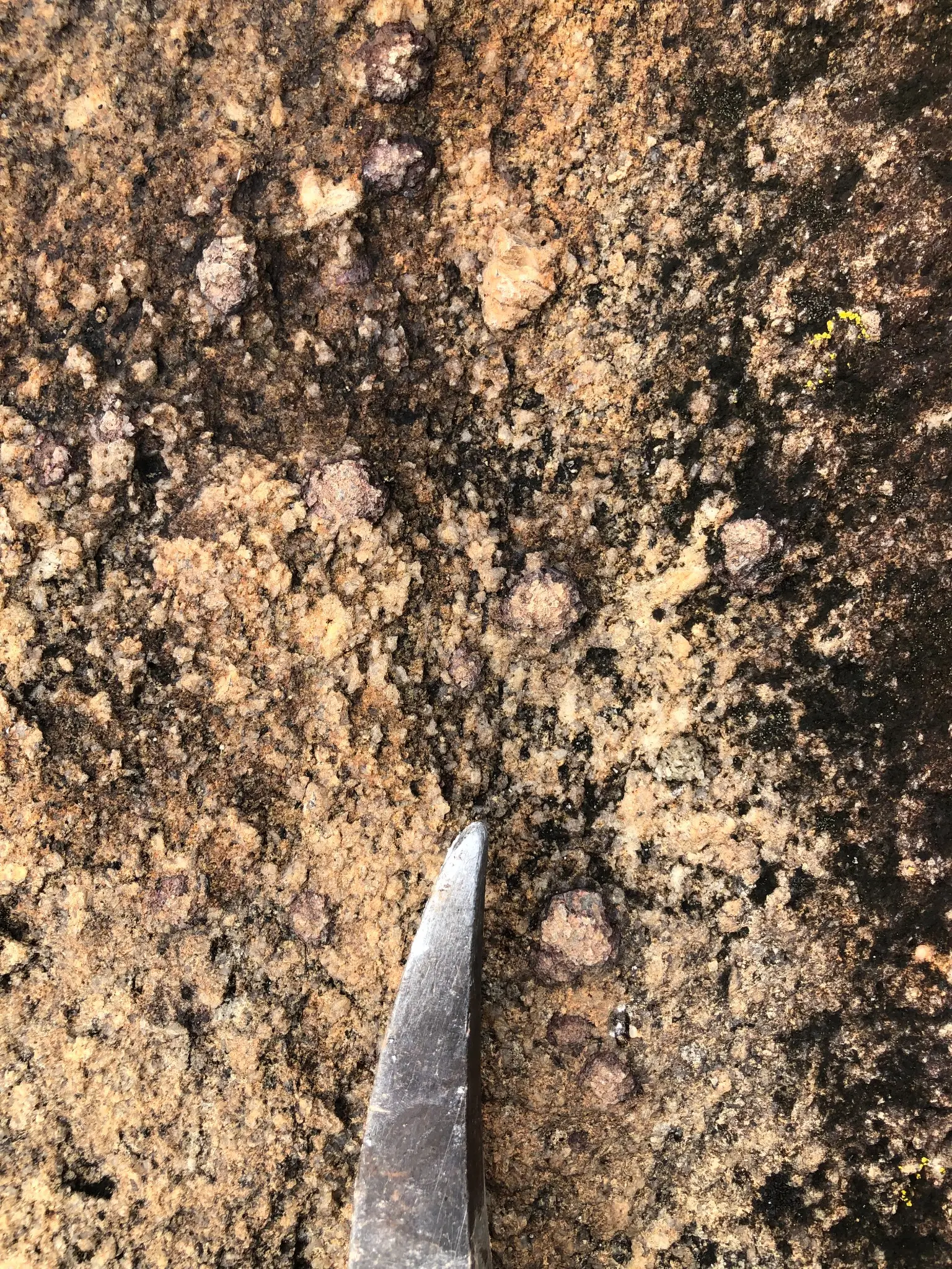 Garnet-bearing granite with coarse quartz, feldspar, and biotite texture.